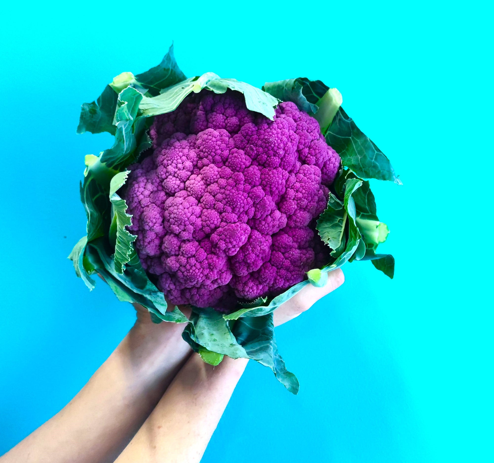 Add x1 Purple Cauliflower