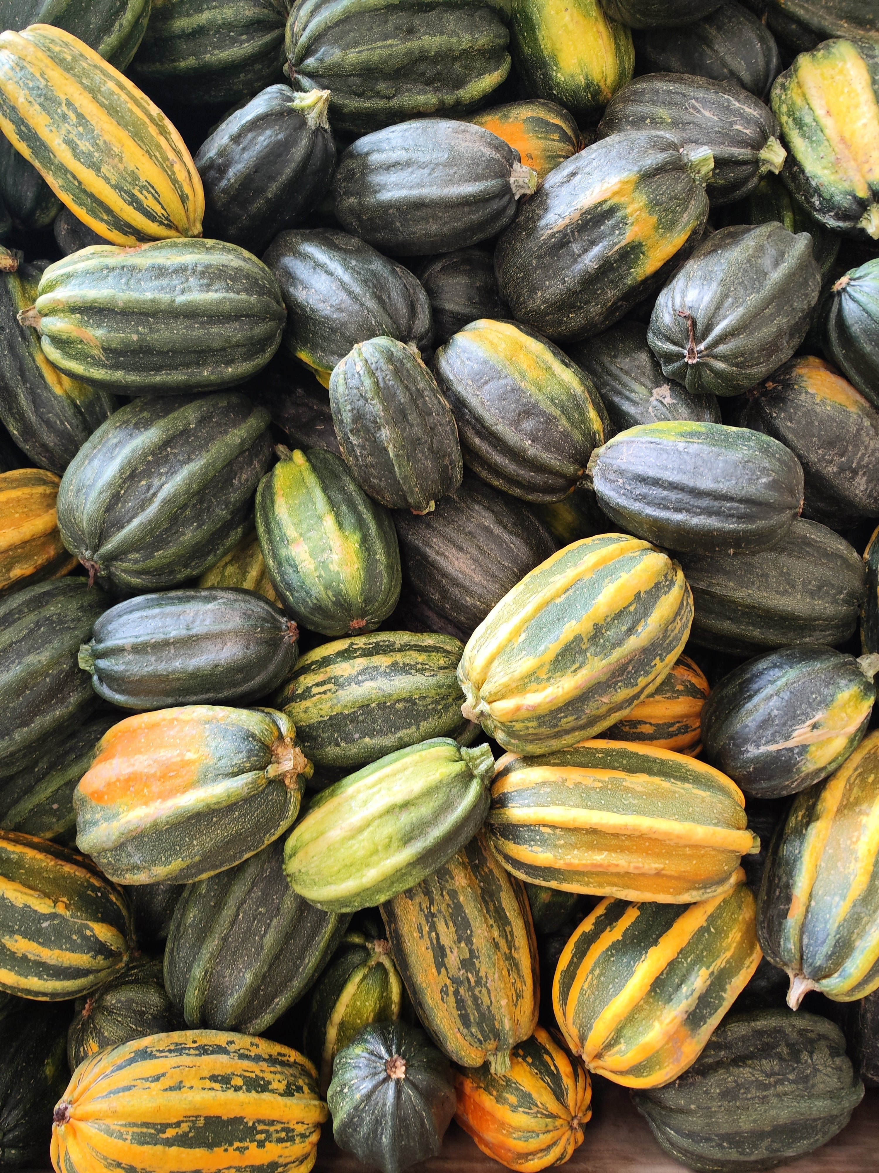 What To Do With Kamokamo