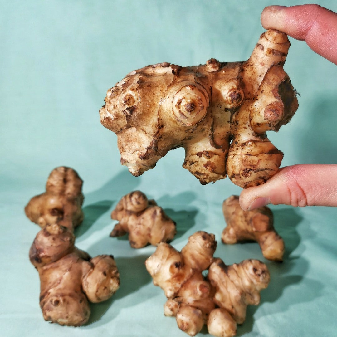 Jerusalem Artichokes – 5 Ways To Cook Them