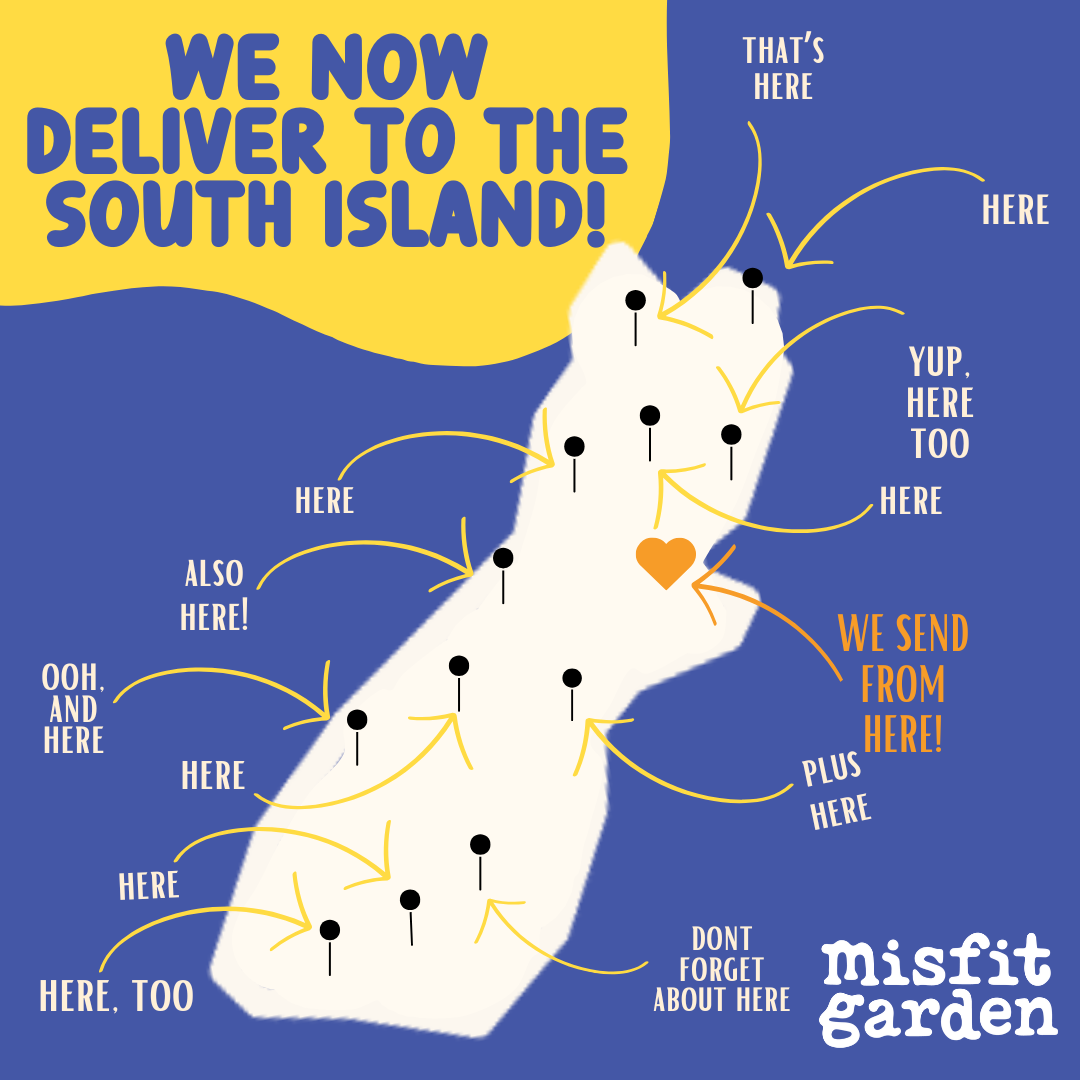 Misfit Garden Expands to the South Island