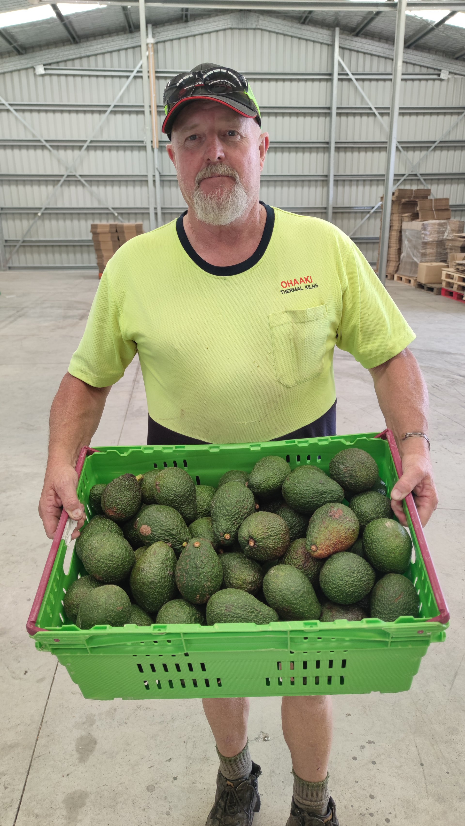 Spray-Free Avocado Overload! – Misfit Garden