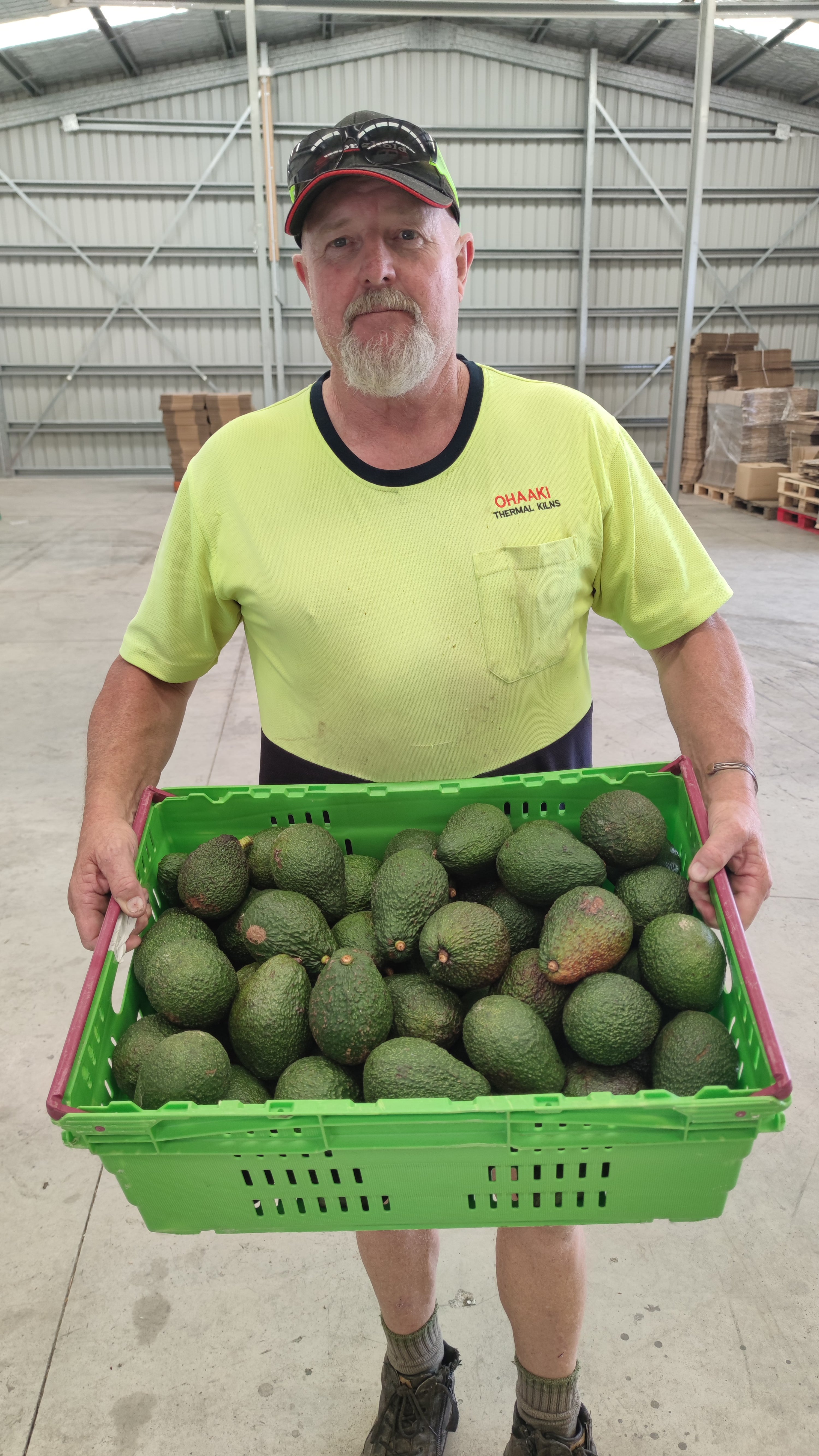 Spray-Free Avocado Overload!