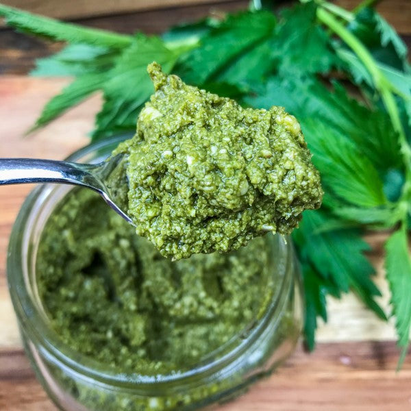 Stinging nettle pesto Misfit Garden Recipe