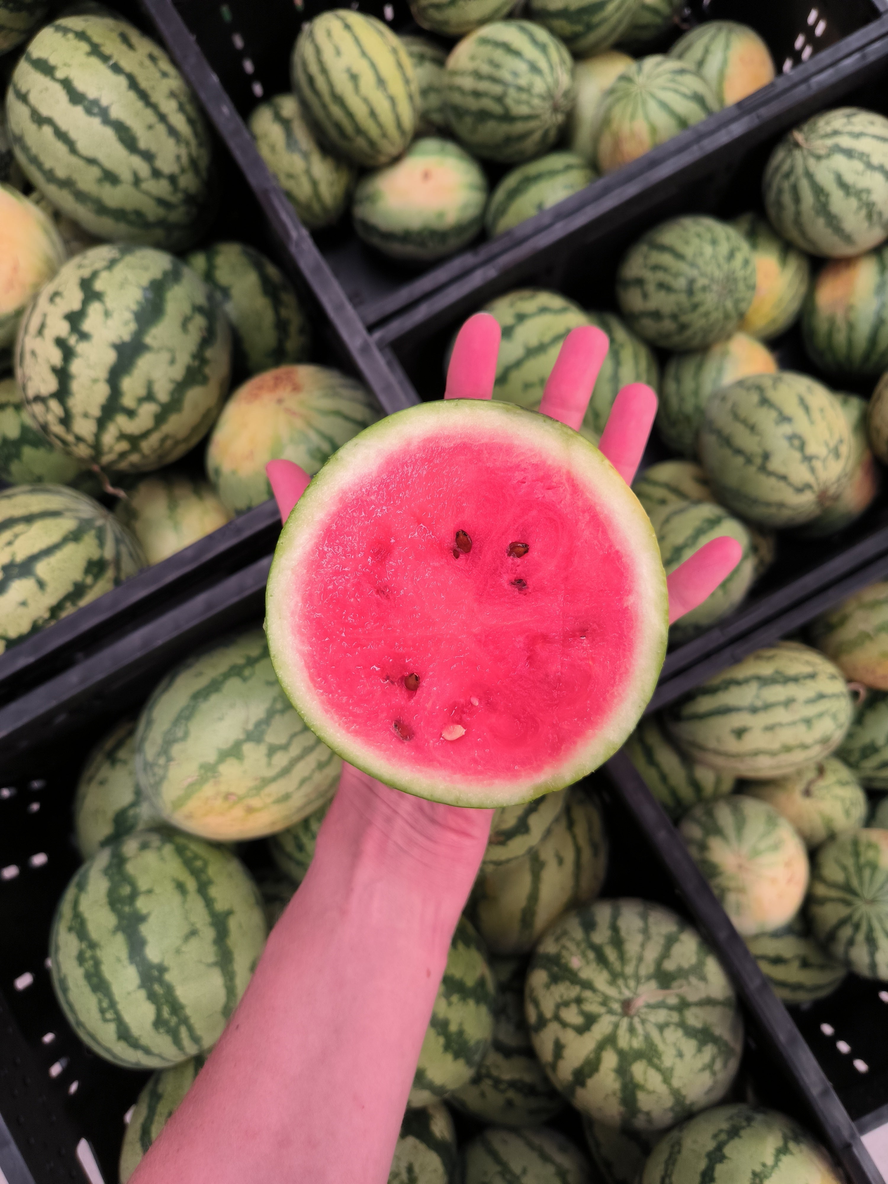 Don’t Toss That Watermelon Rind! Here’s How to Eat It