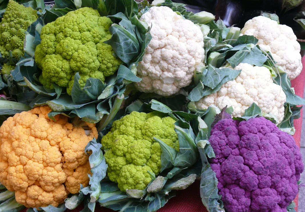 Colourful Cauliflower - purple, green, orange - are they natural or GMO?