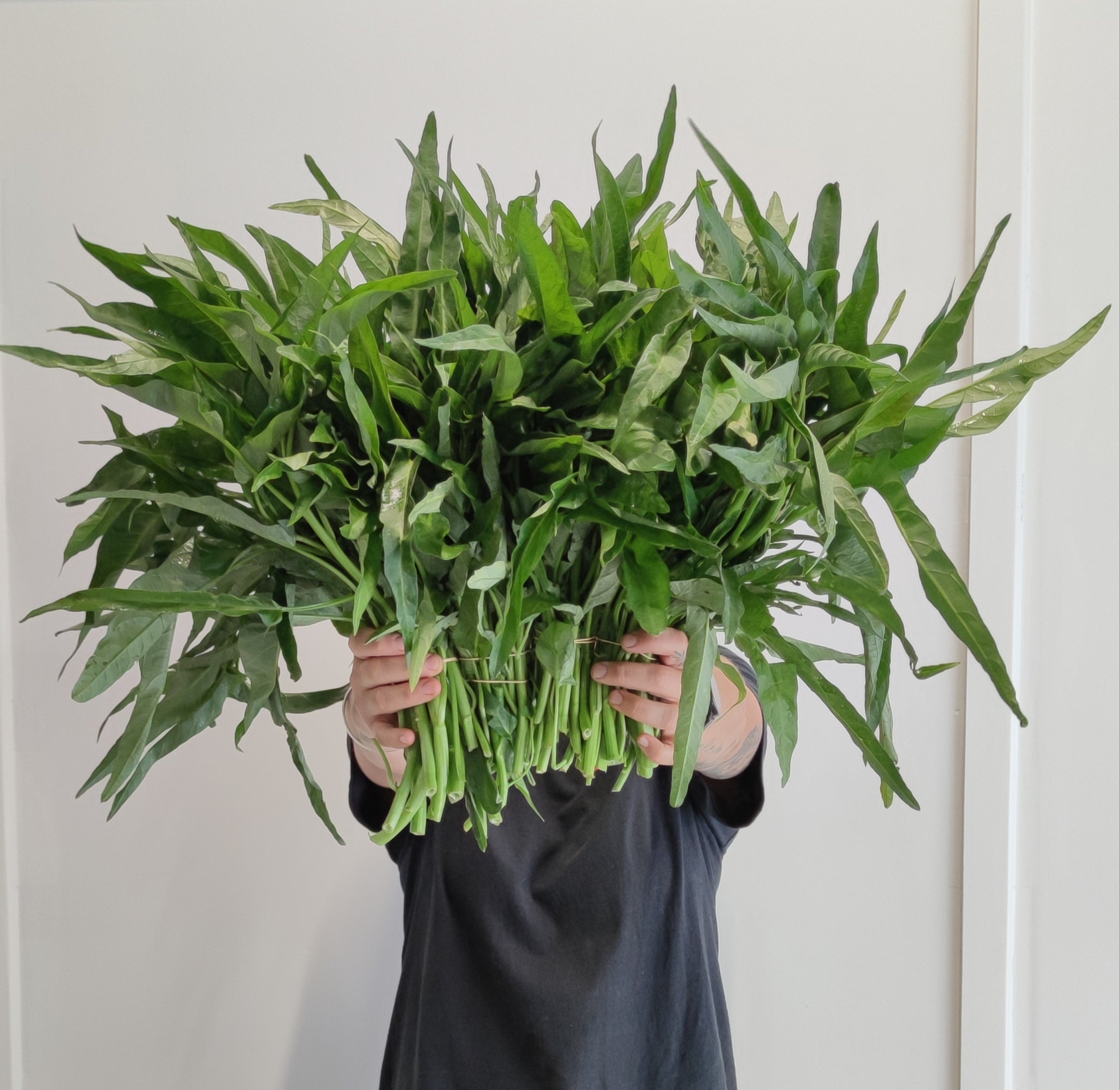 misfit garden food waste subscription oddbox nz morning glory water spinach in hand