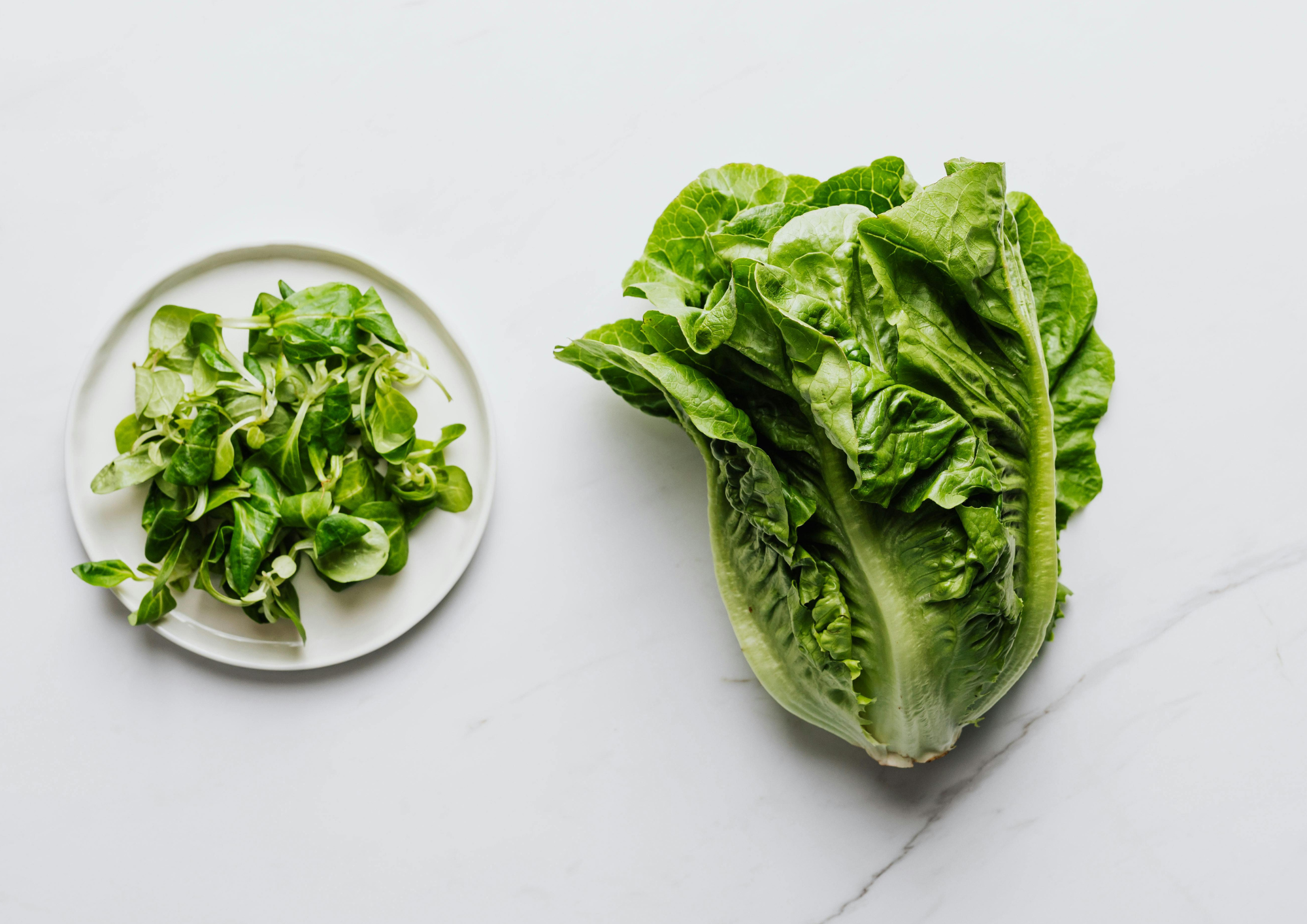 Why Leafy Greens Go Floppy (And How To Bring Them Back To Life)