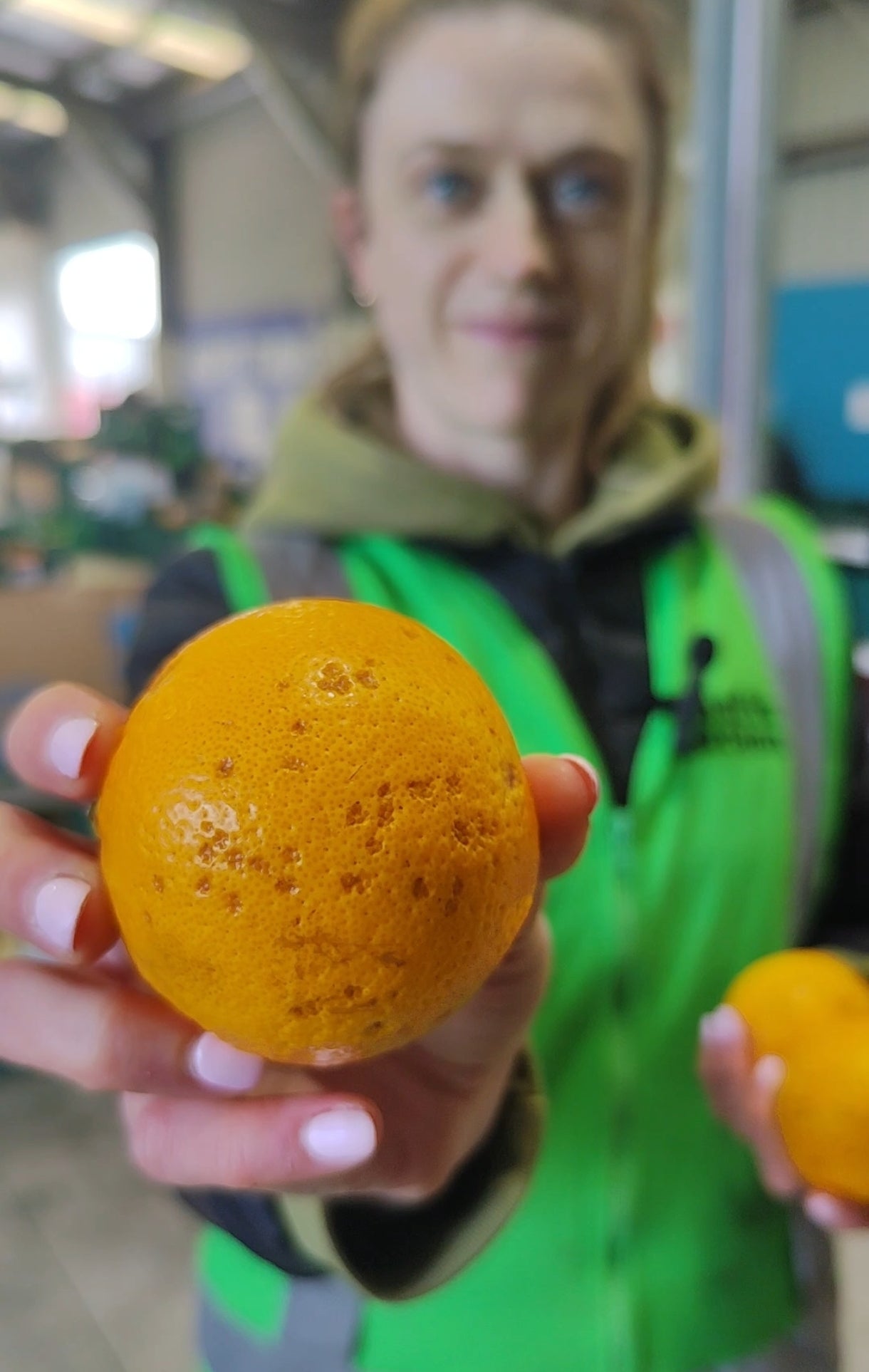 Jen holding an orange, with spot marks on it. this is poteca, damage to the oil inthe skin but its still ok