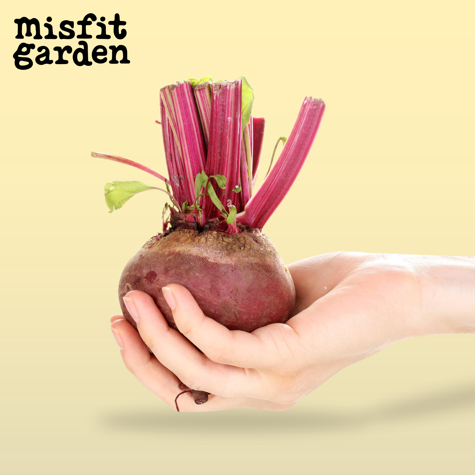 Add 800g Beetroot