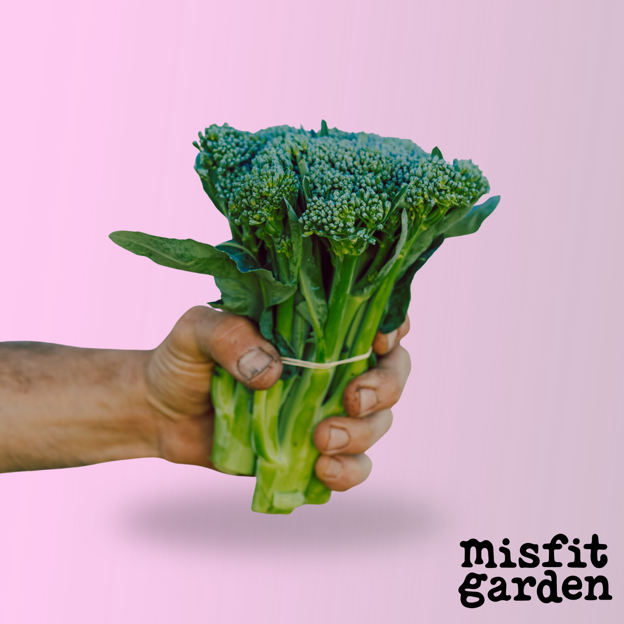 Add 250g Broccolini