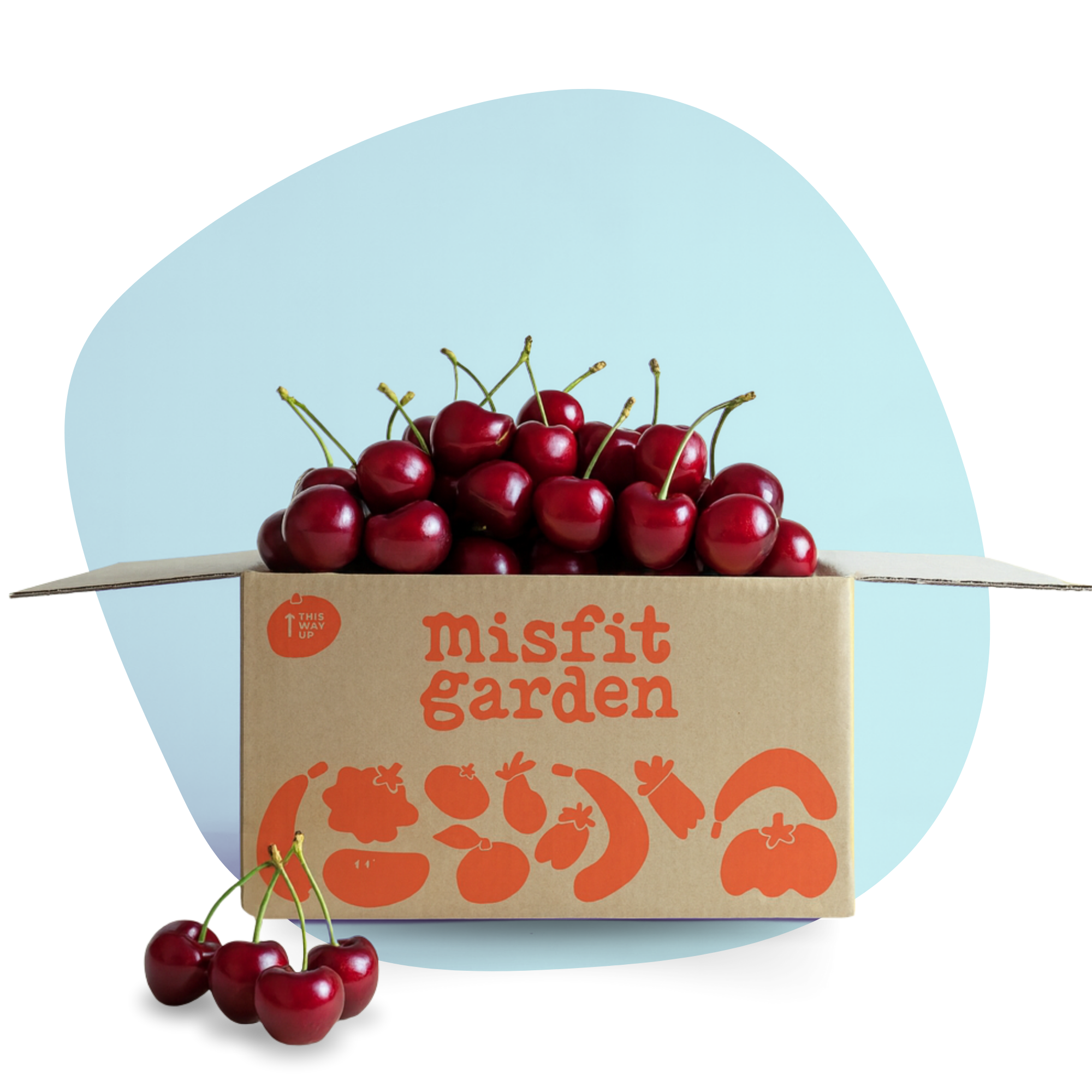 Cherry Box (2kg)