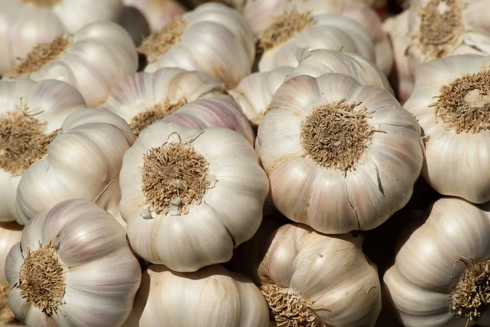 Add x1 Bulb Garlic (import)