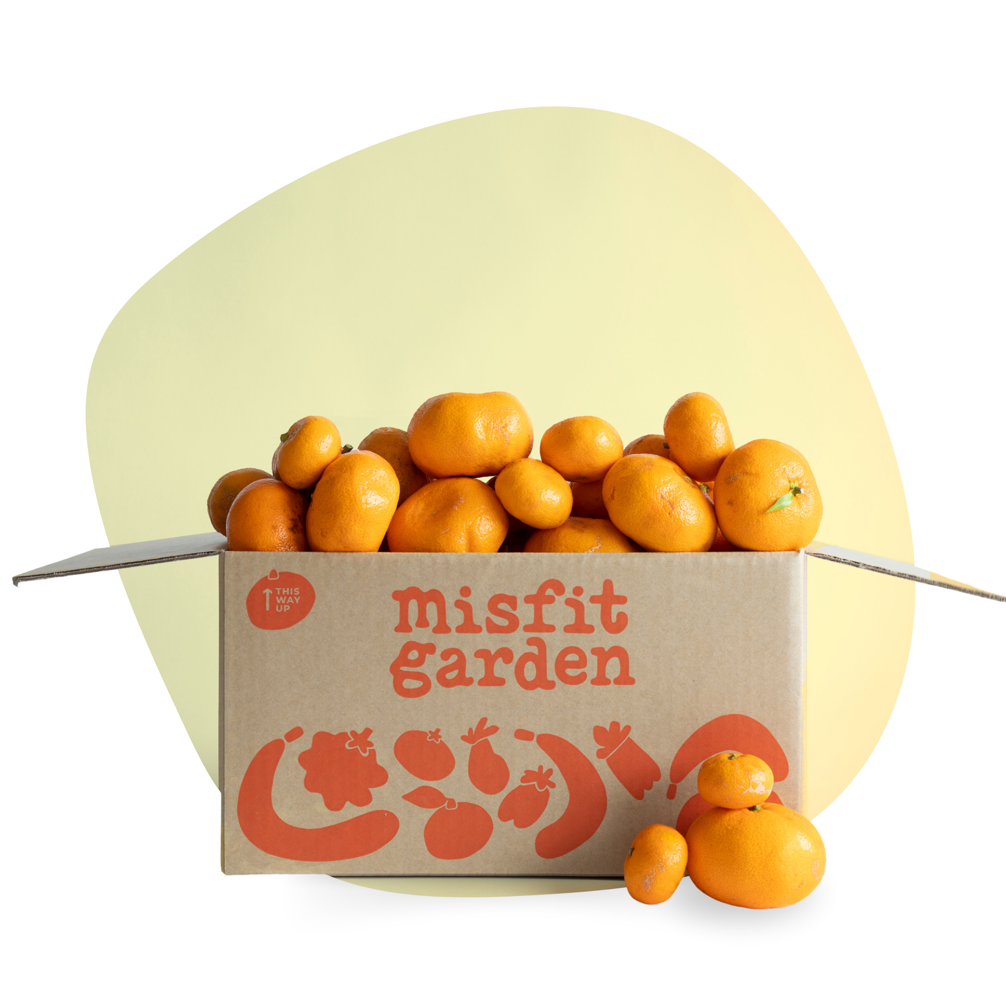 Gisborne Mandarin Box (3kg)