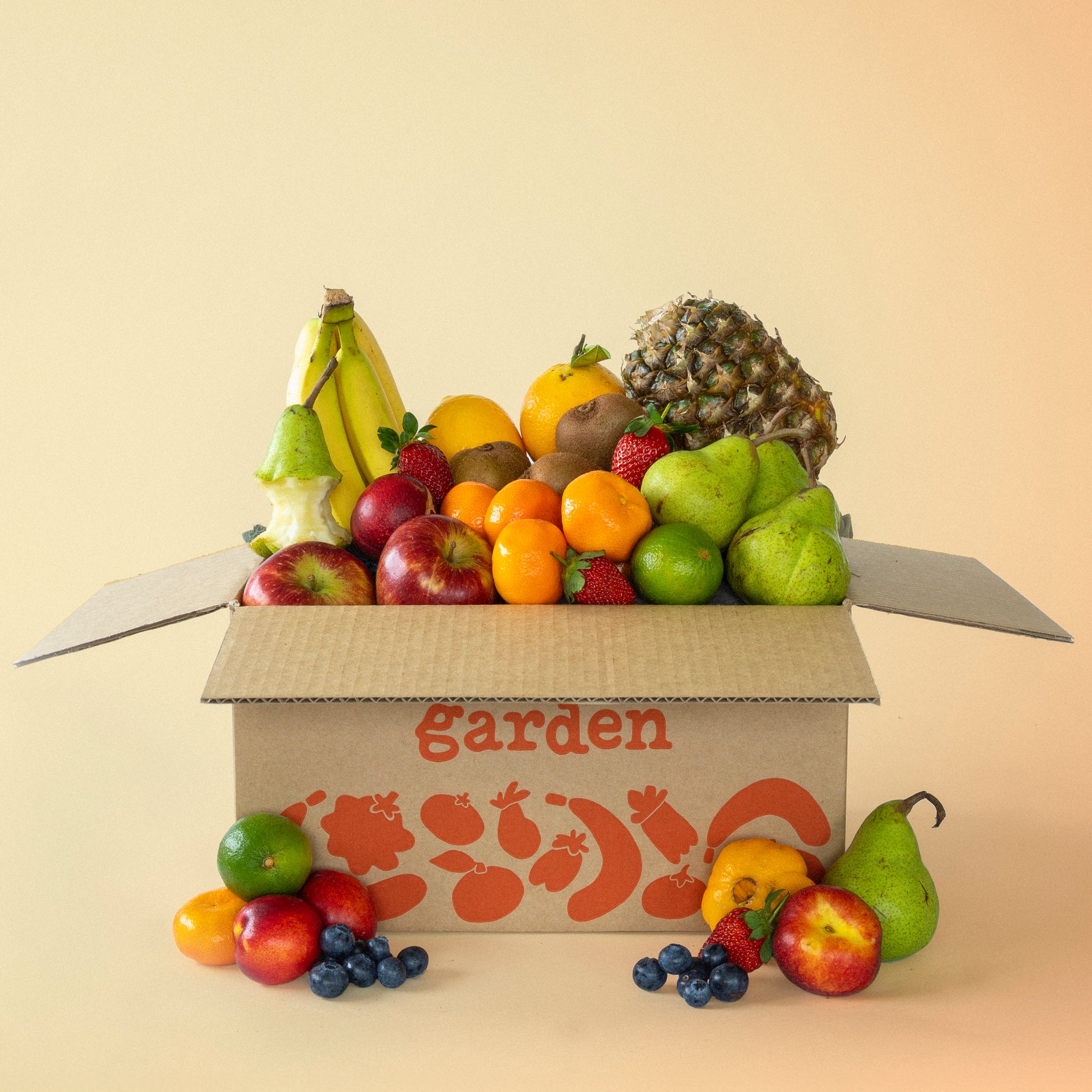 Our Seasonal New Zealand Fruit Box delivered NZ wide