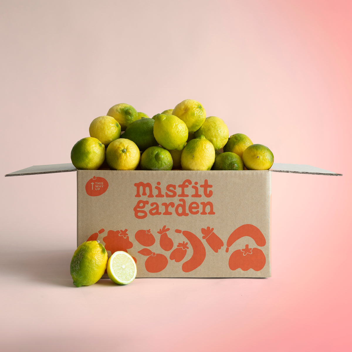 Bulk Boxes – Misfit Garden