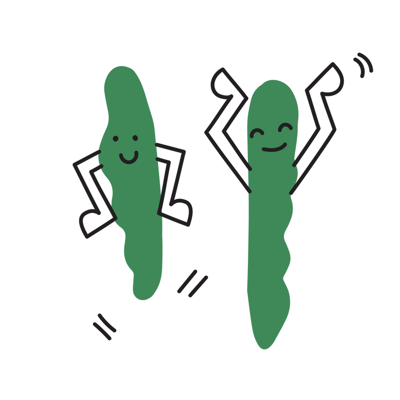 Some Cucumbers from our NZ grown vegetable boxes