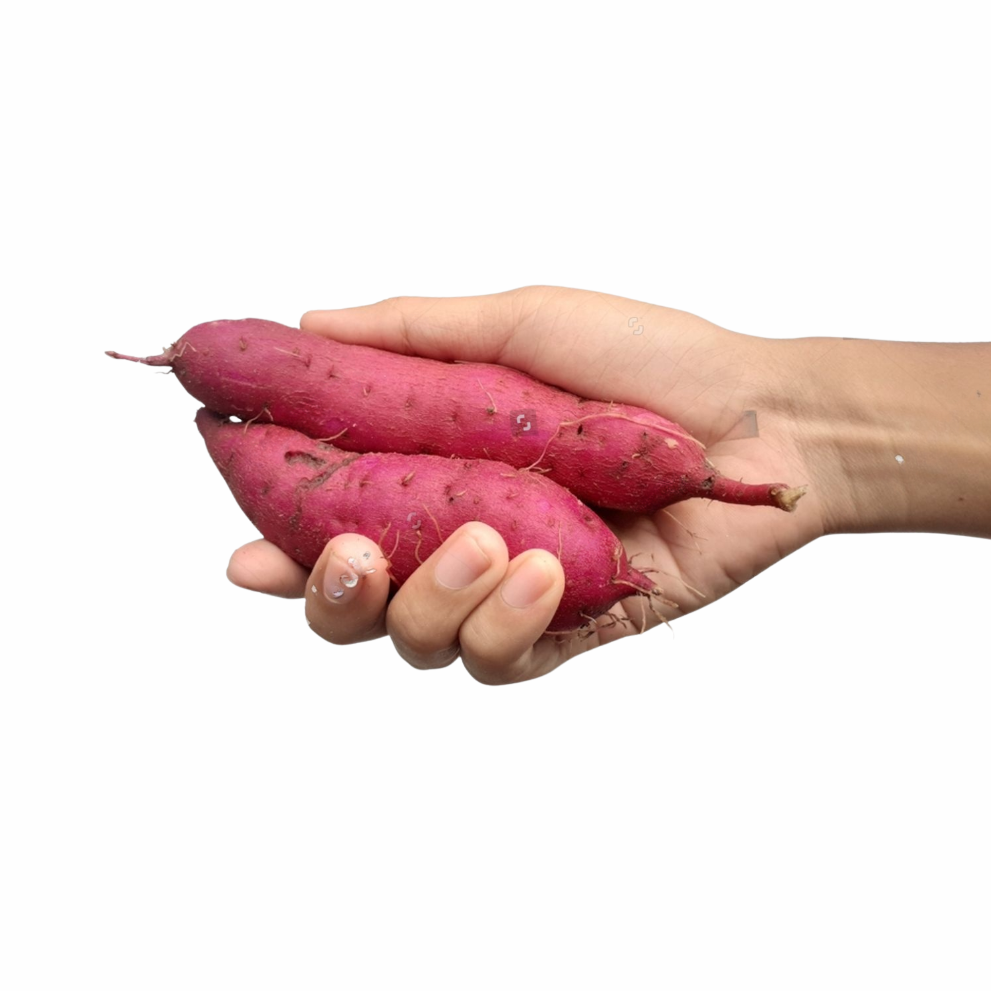 Add 750g Mini Red Kumara
