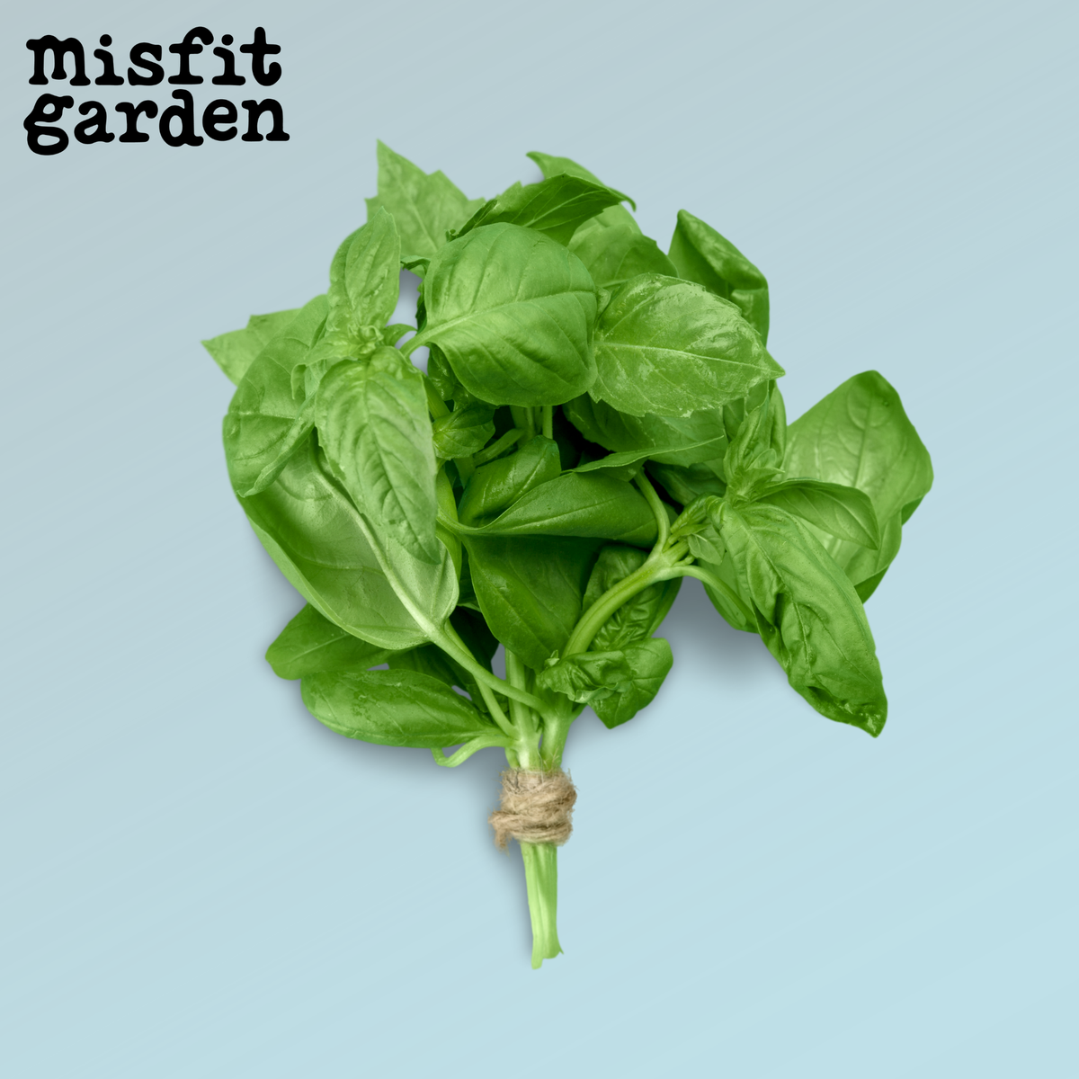 Add 100g Basil