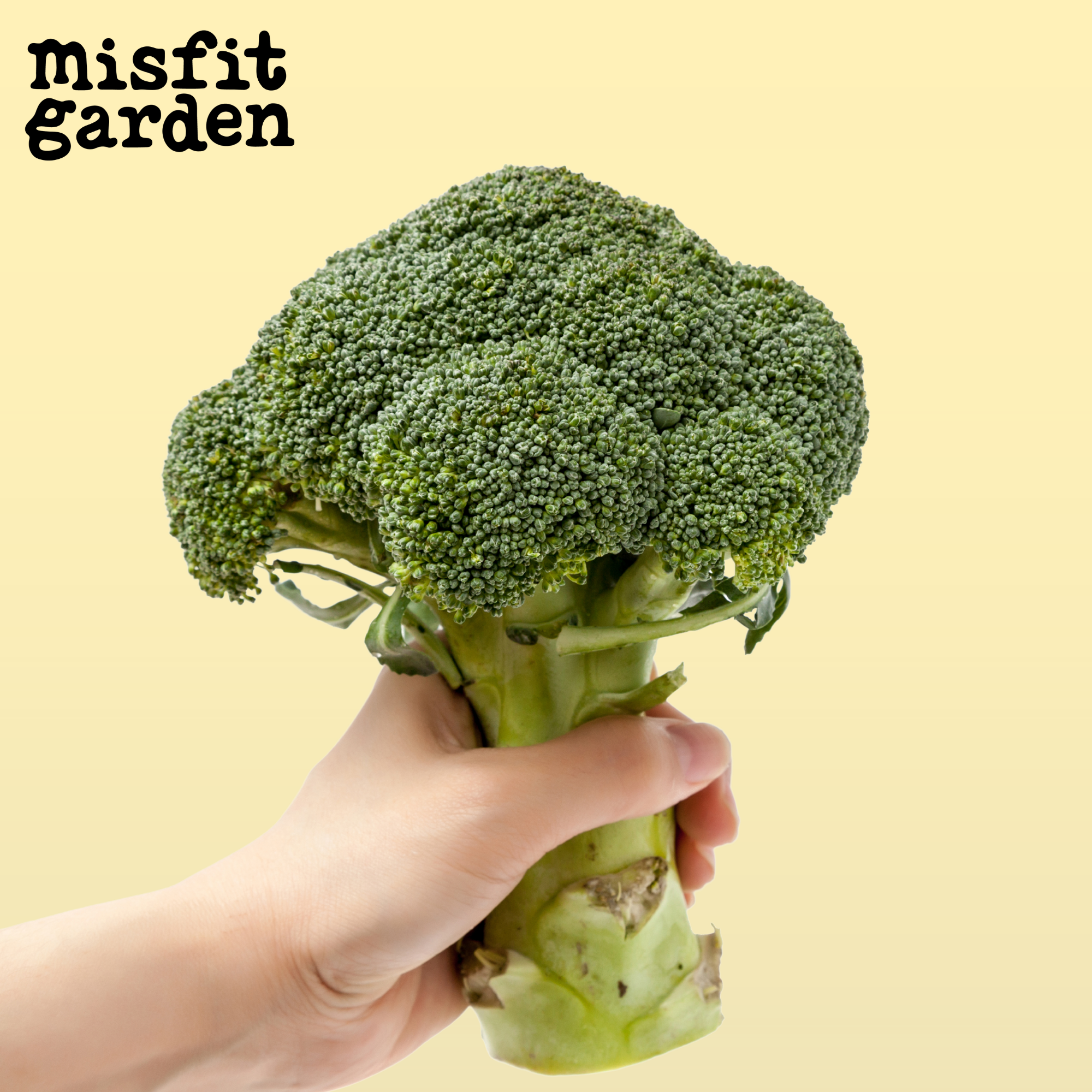Add 1x Broccoli