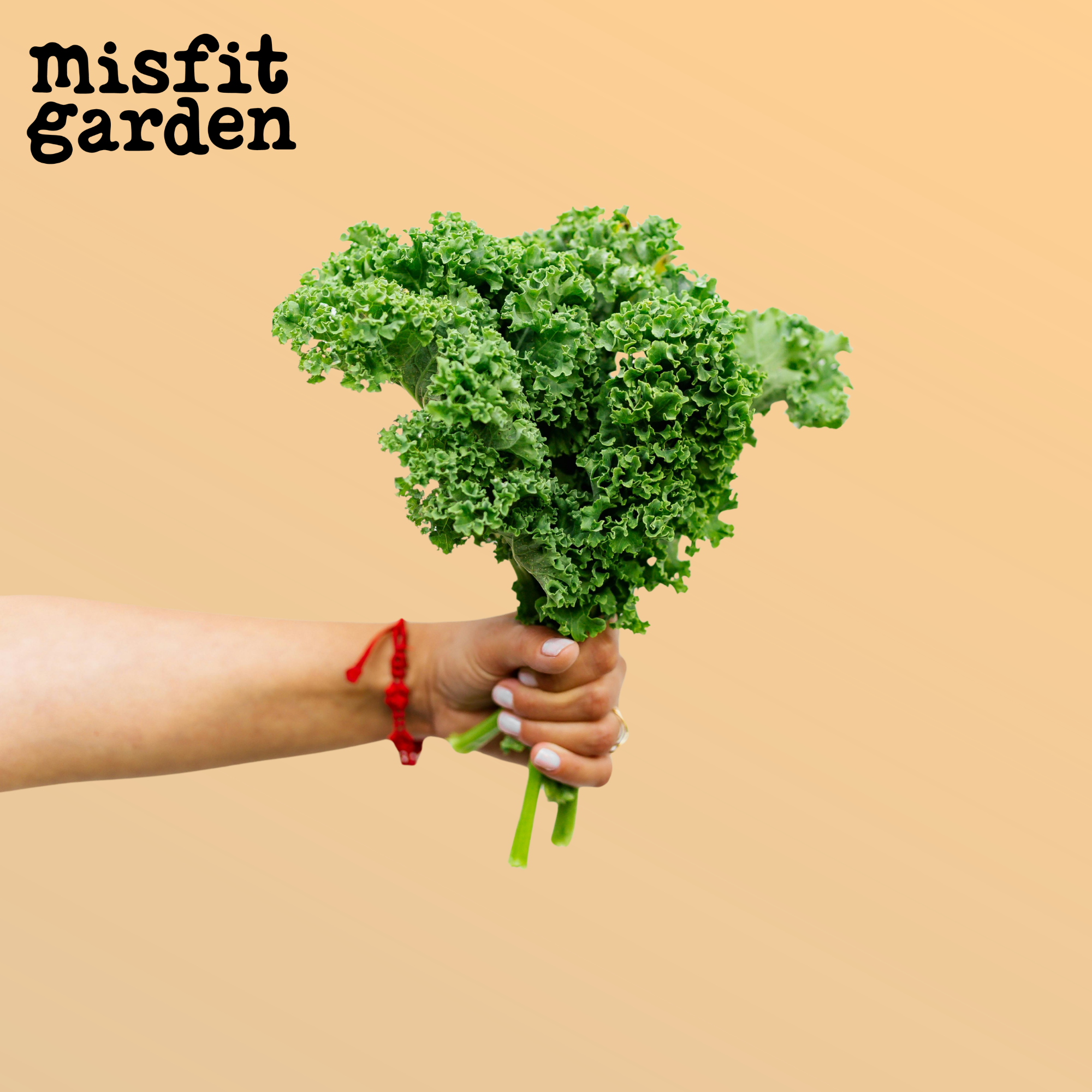 Add Bunch Curly Kale