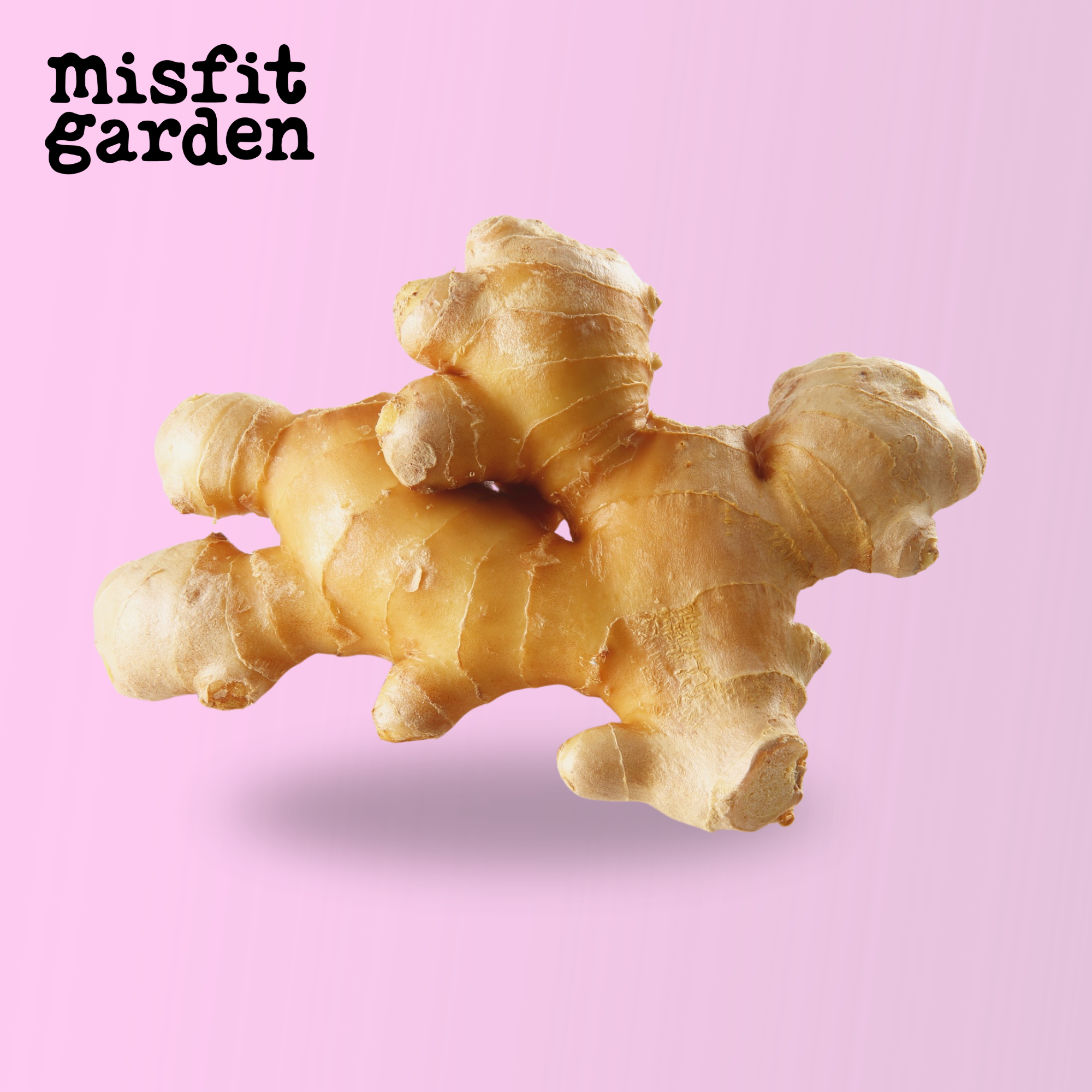 Add 300g Ginger Root (import)