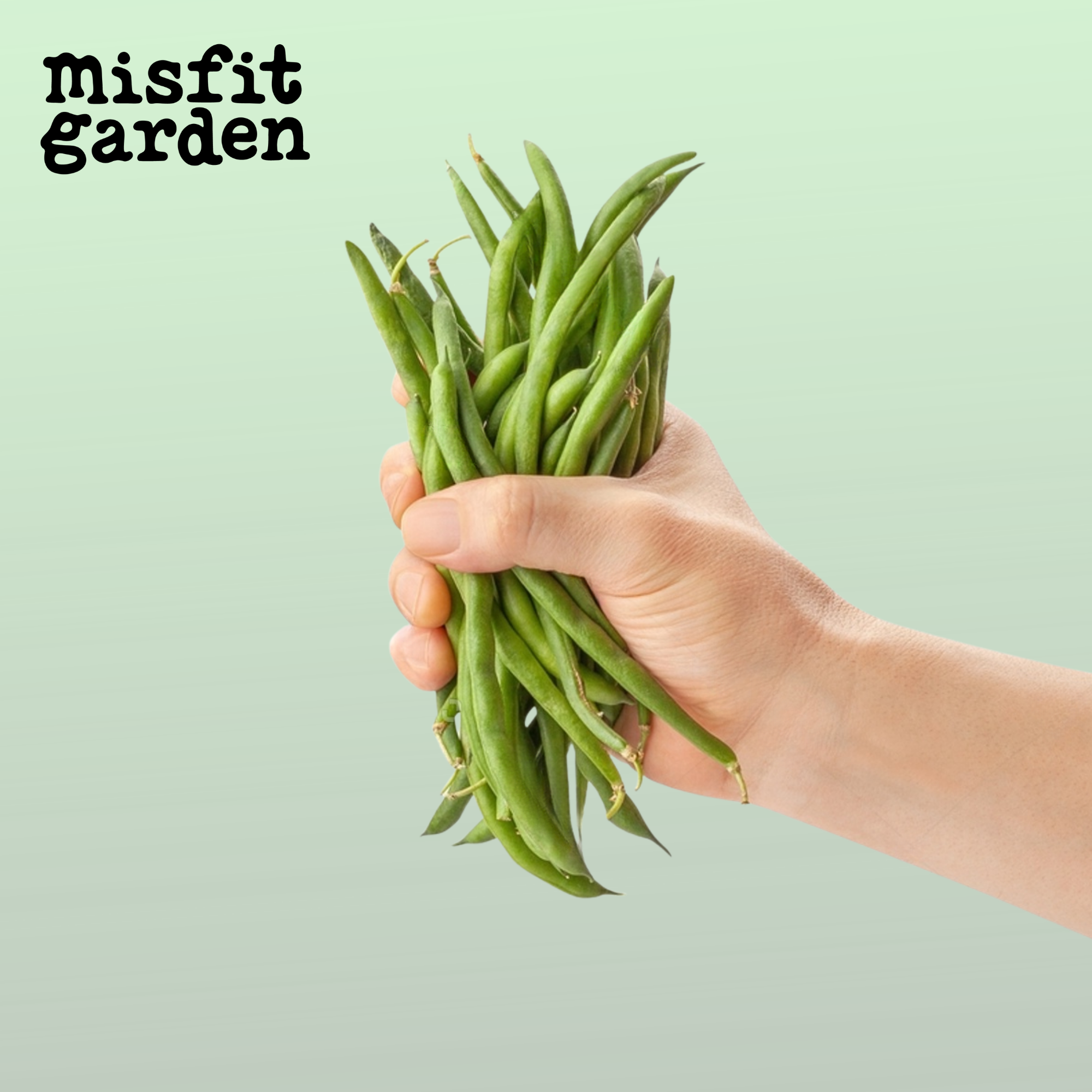 Add 300g Green Beans