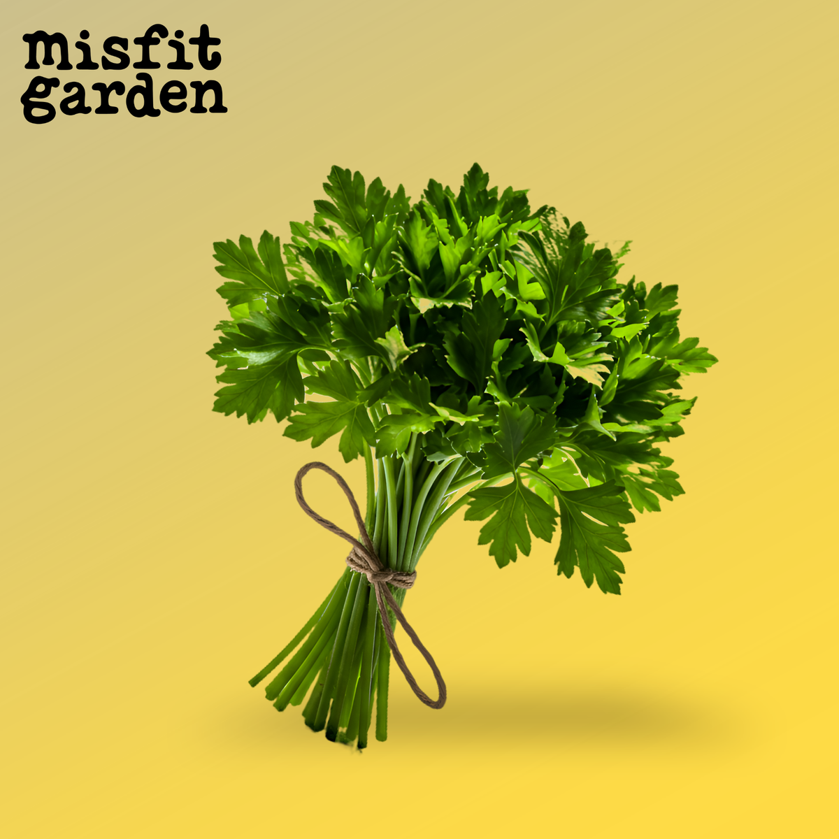 Add 100g Italian Parsley