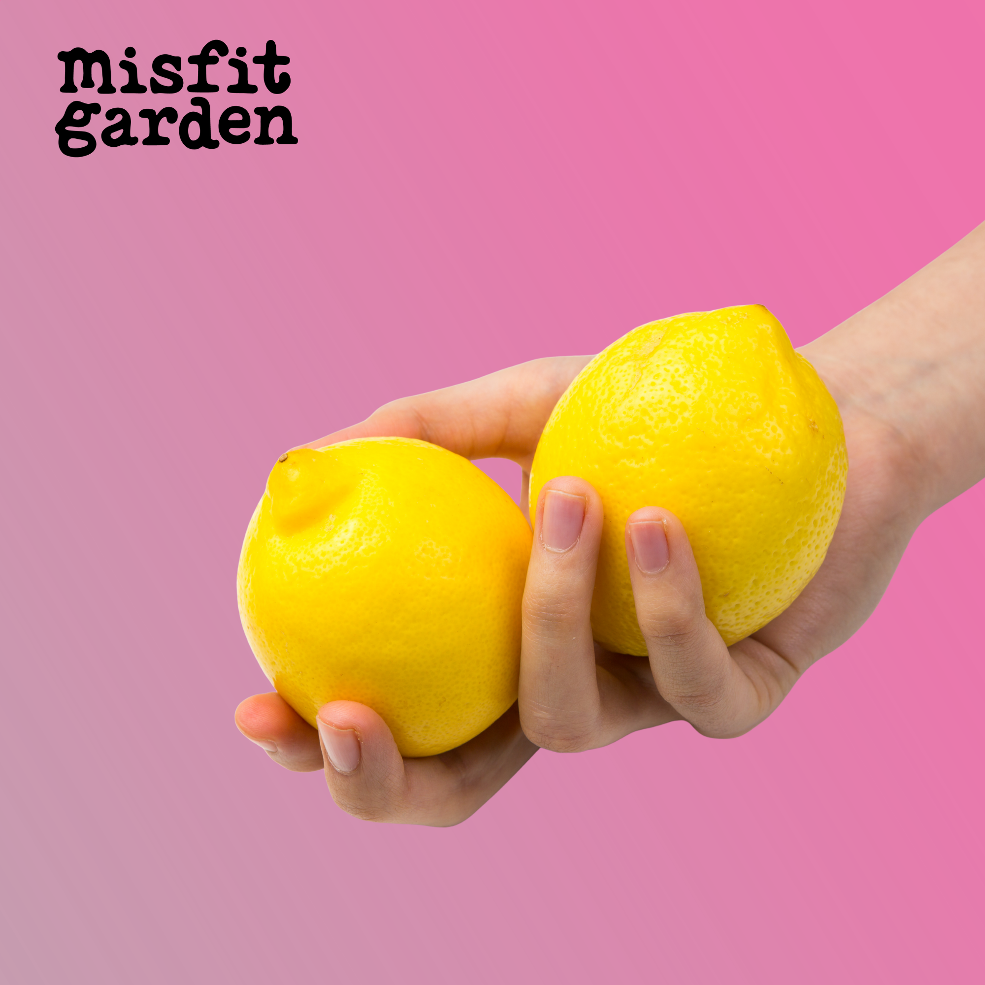 Add 1kg Lemons