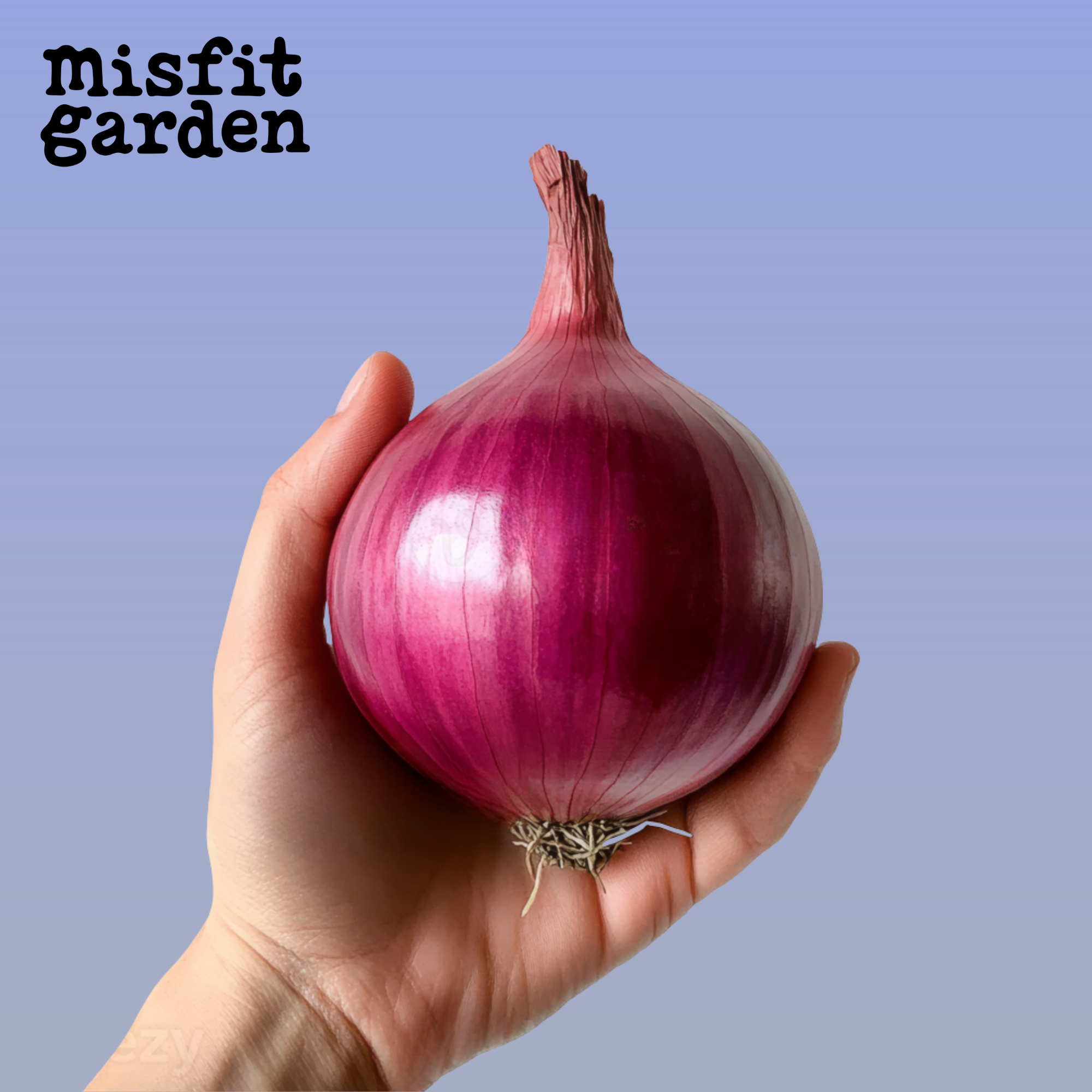 Add 600g Red Onions