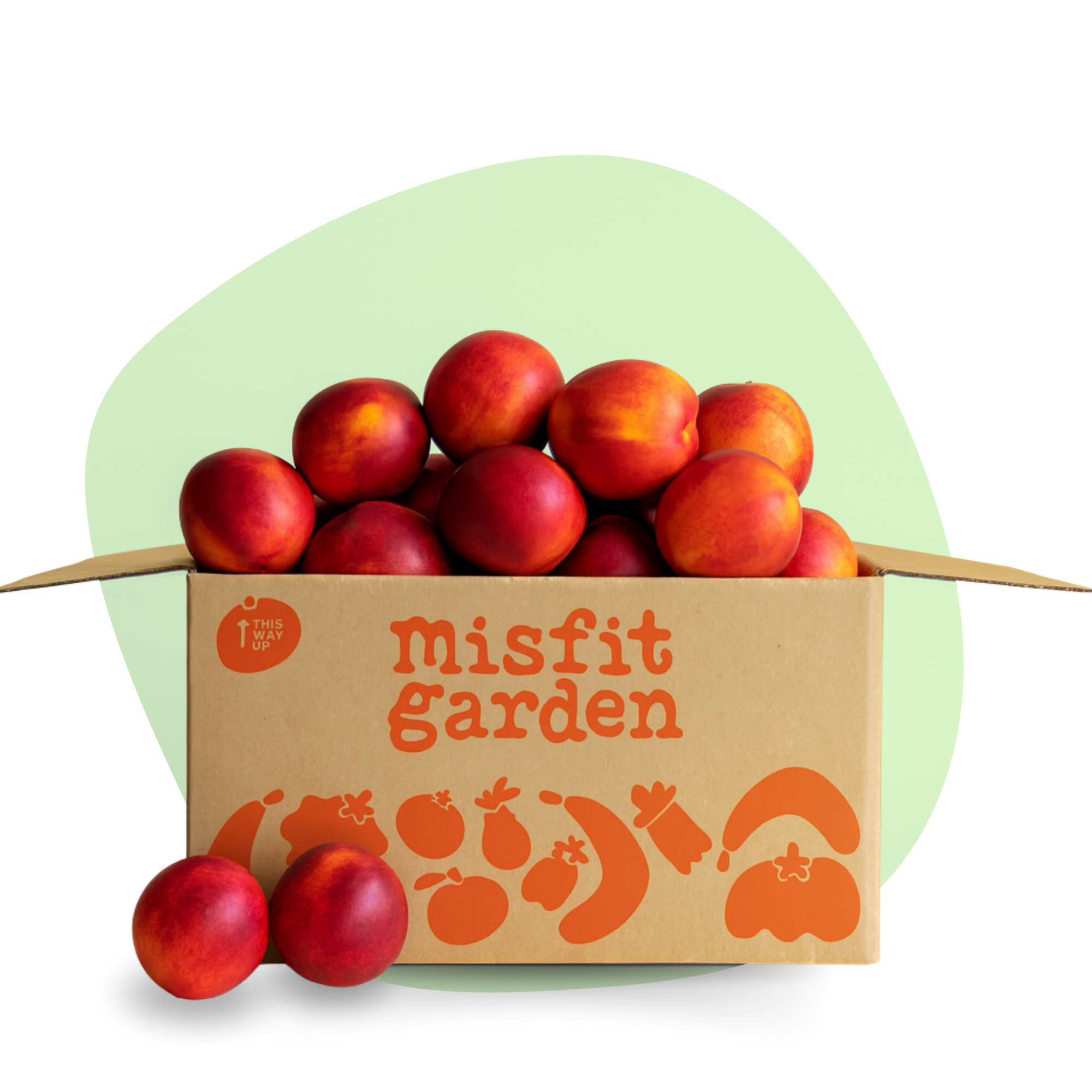 Nectarine Box (3kg)