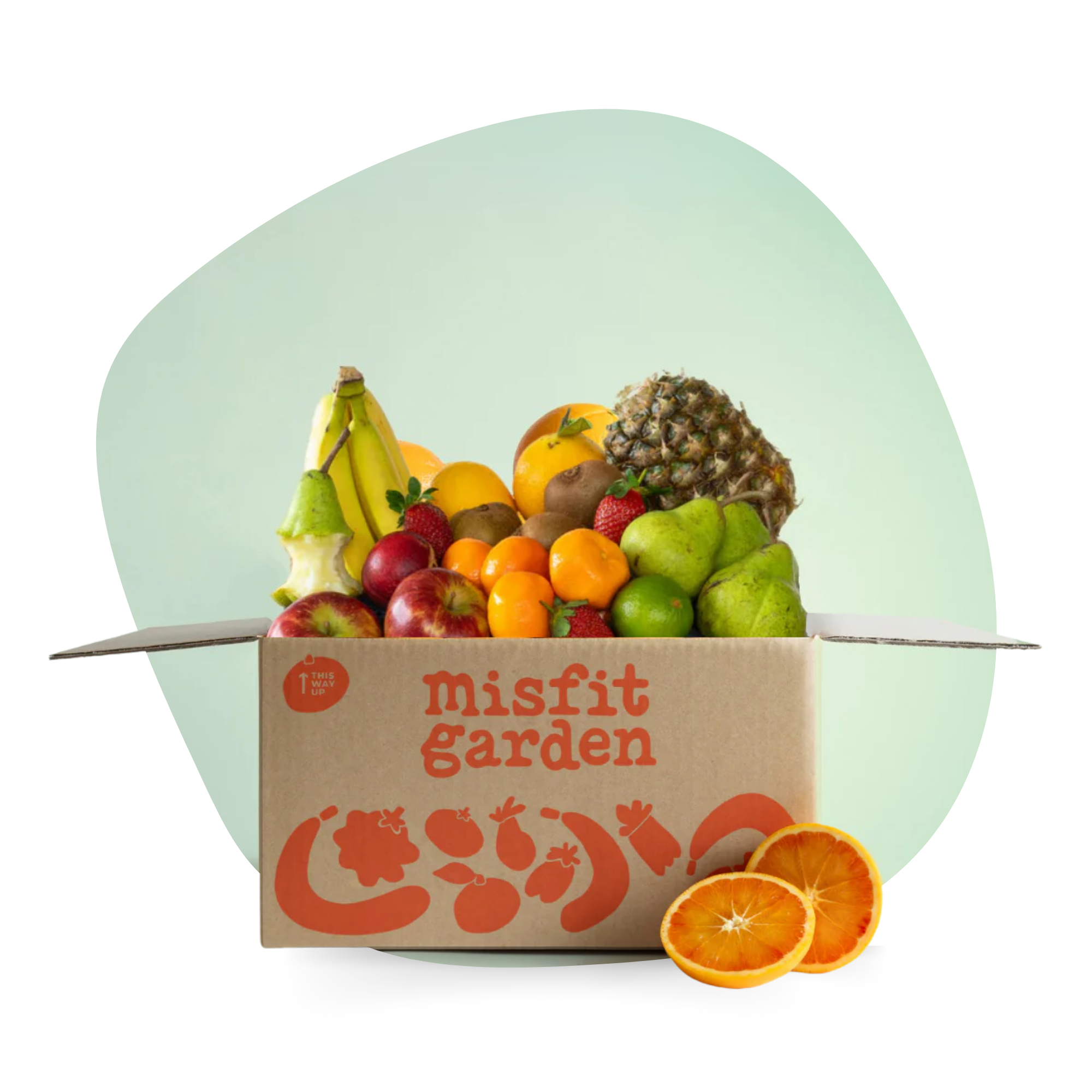 Office Fruit Box