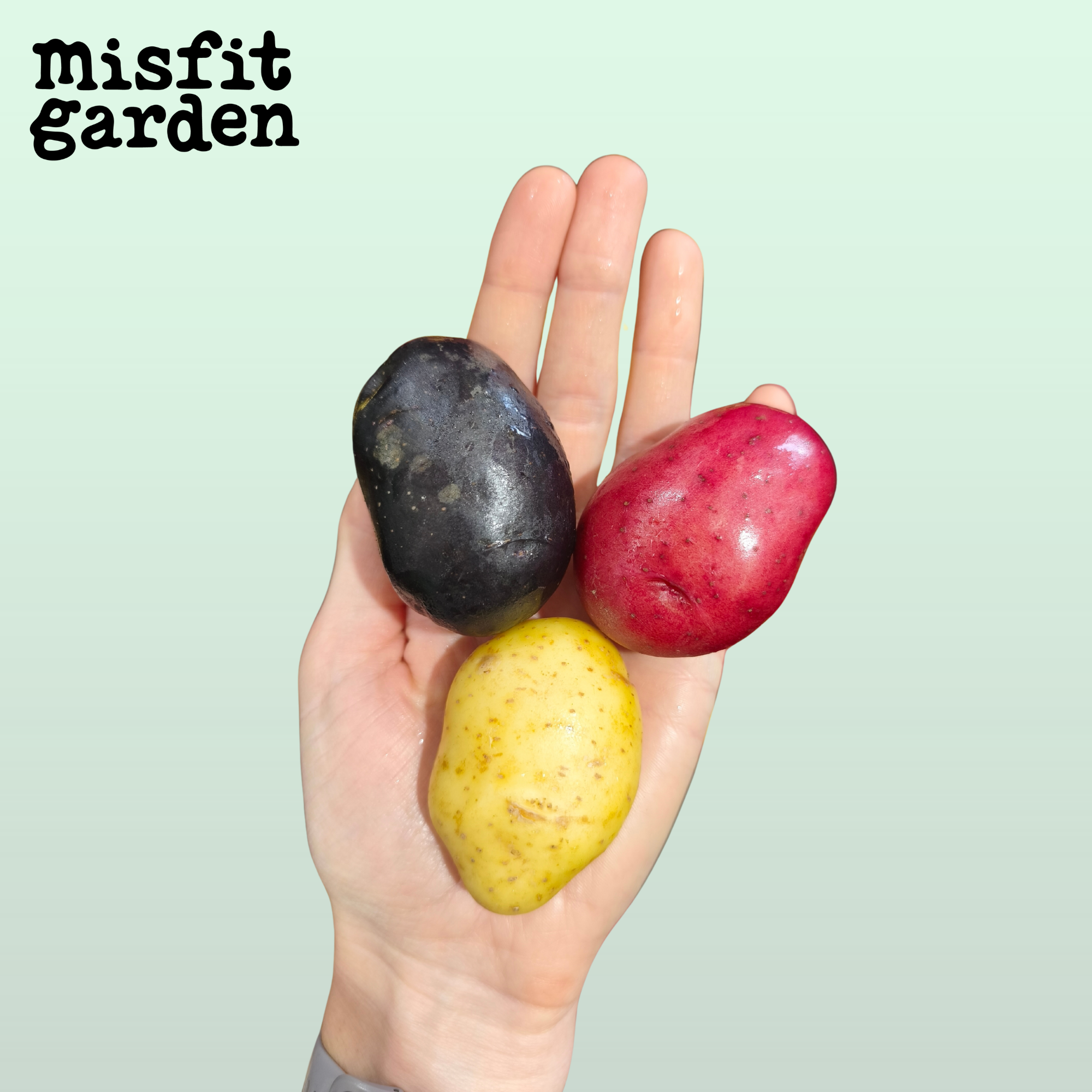 Add 1kg Rainbow New Potatoes