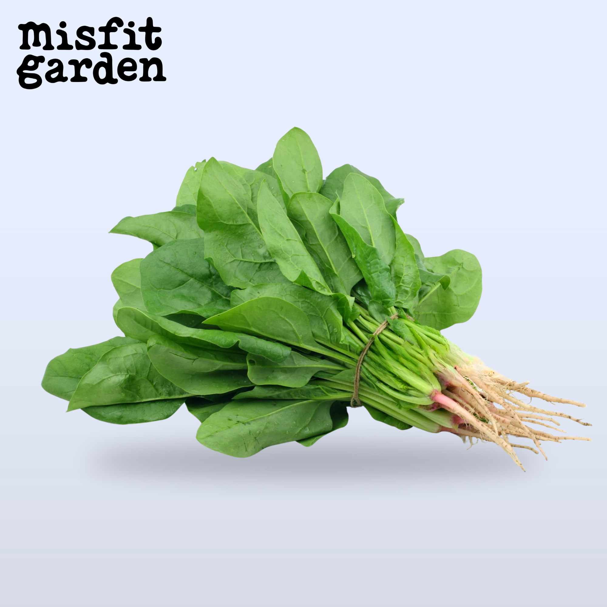 Add 350g Spinach