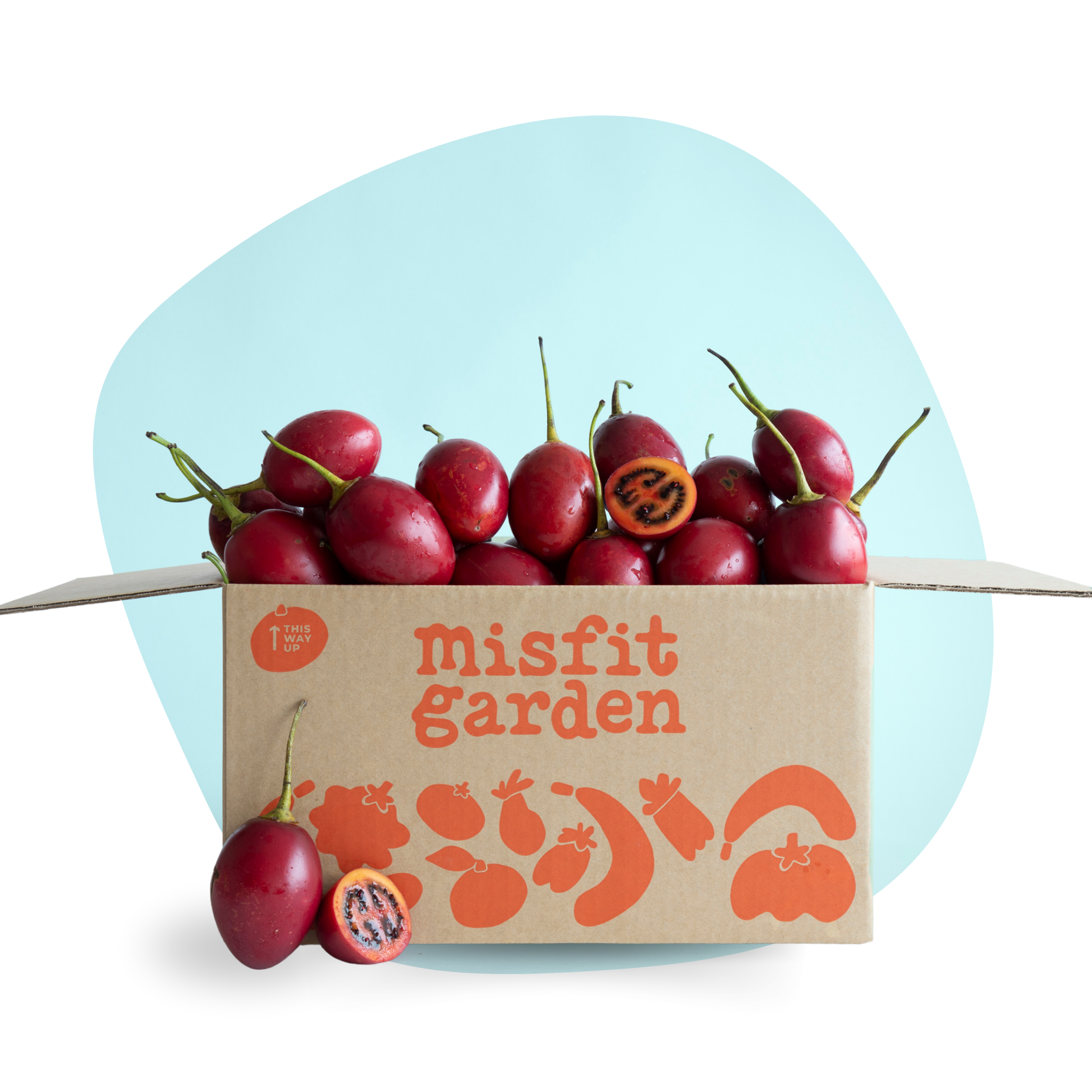 Tamarillo Box (2kg)