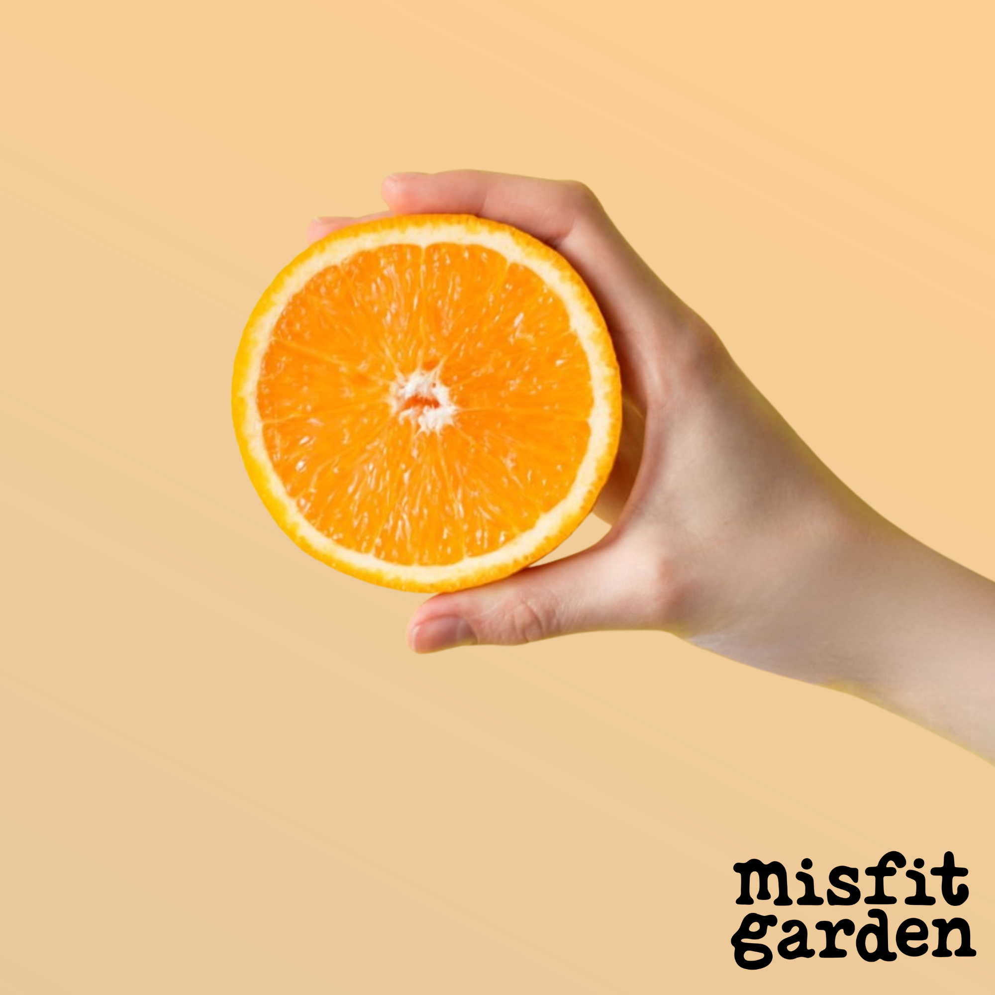 Add 1kg Navel Oranges