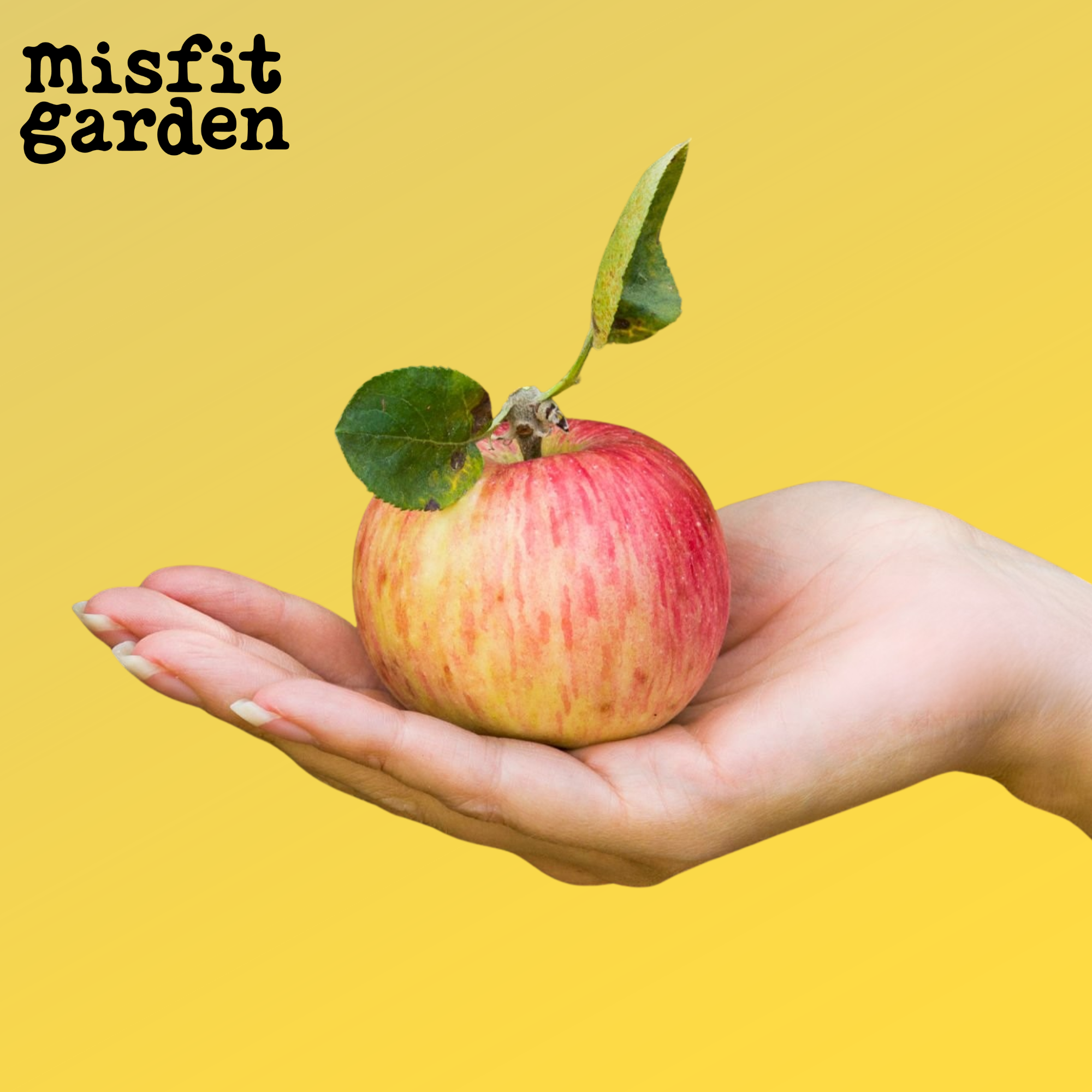 Add 800g Braeburn Apples