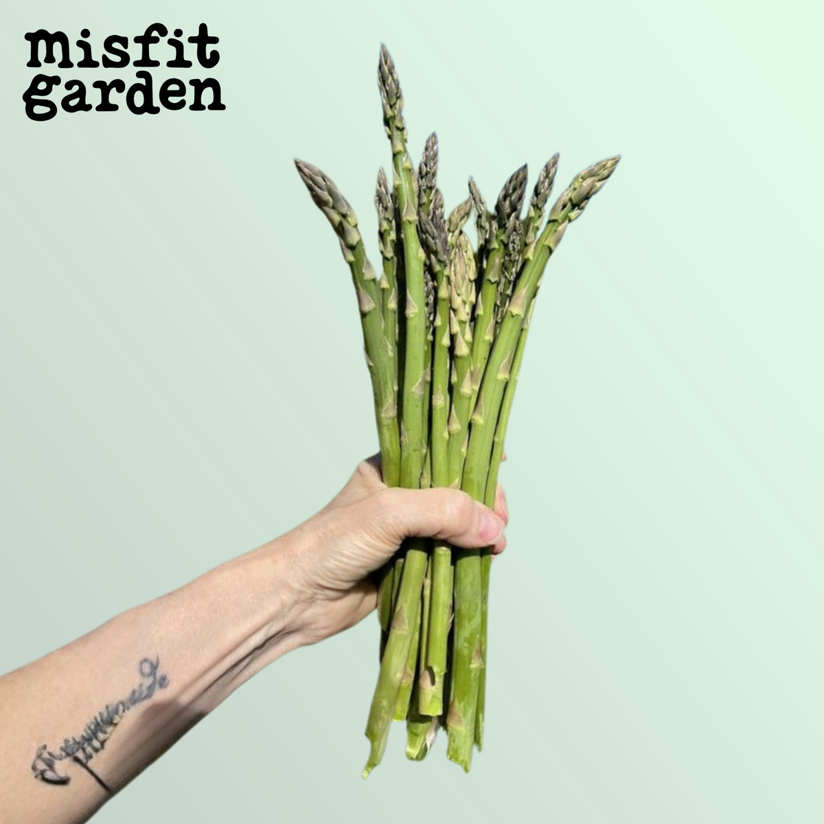 Add 250g Green Asparagus