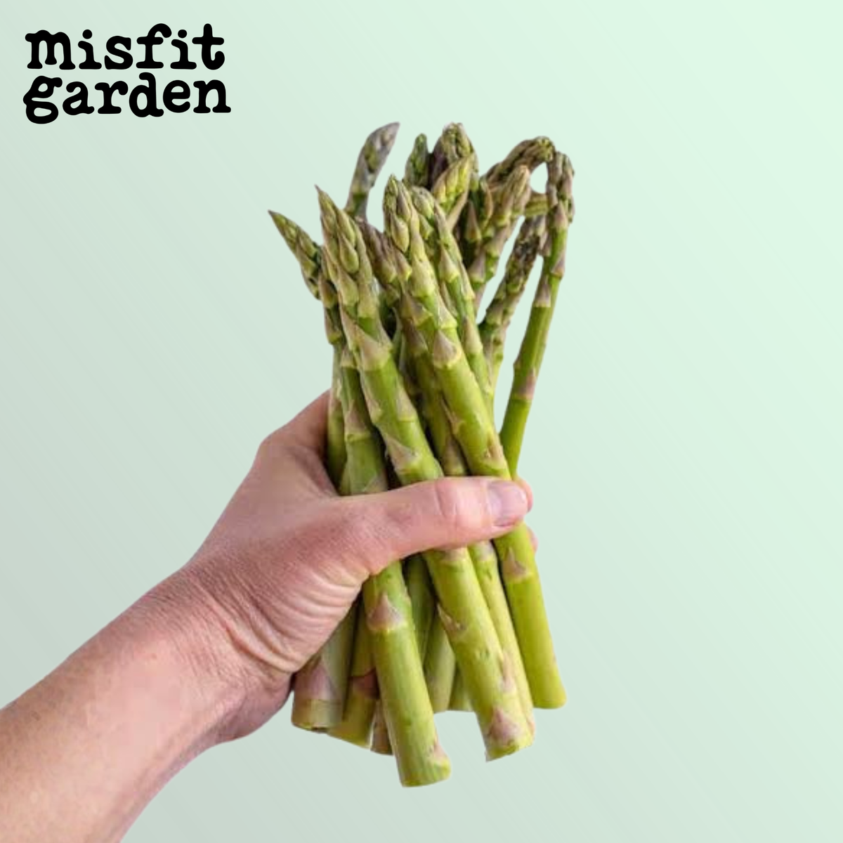 Add 250g Green Asparagus