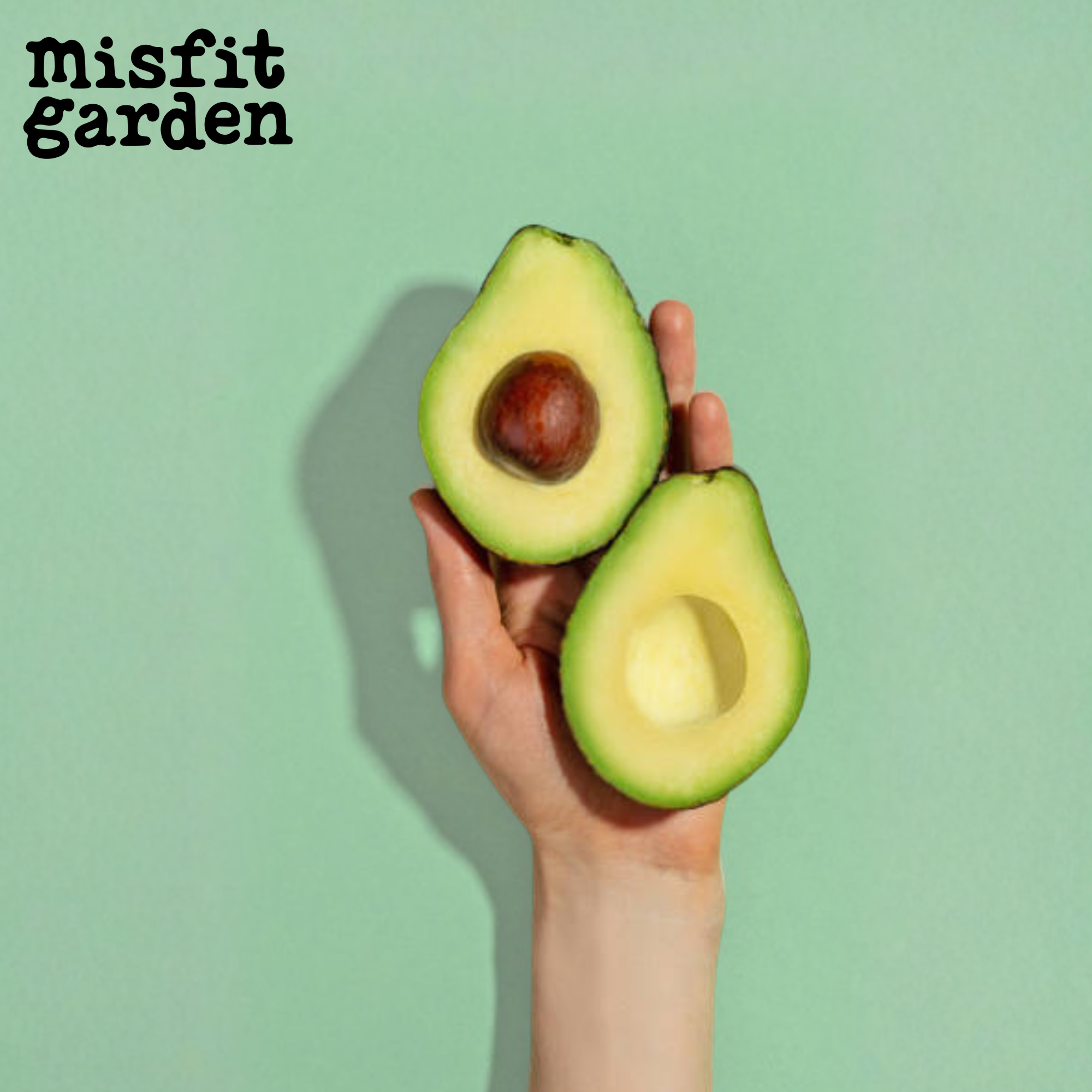 Add 3x Small/Medium Avocados