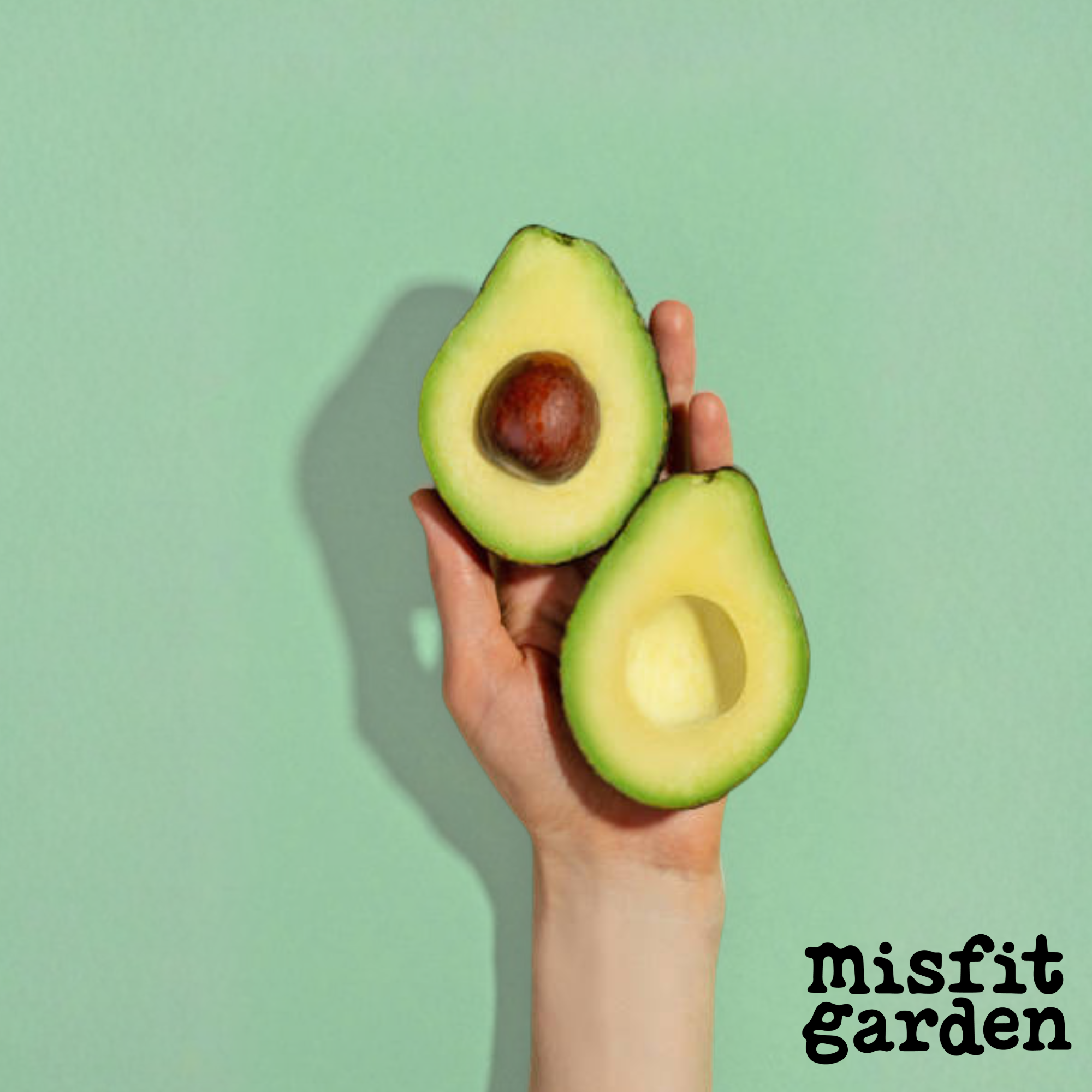 Add x3 Medium Avocados