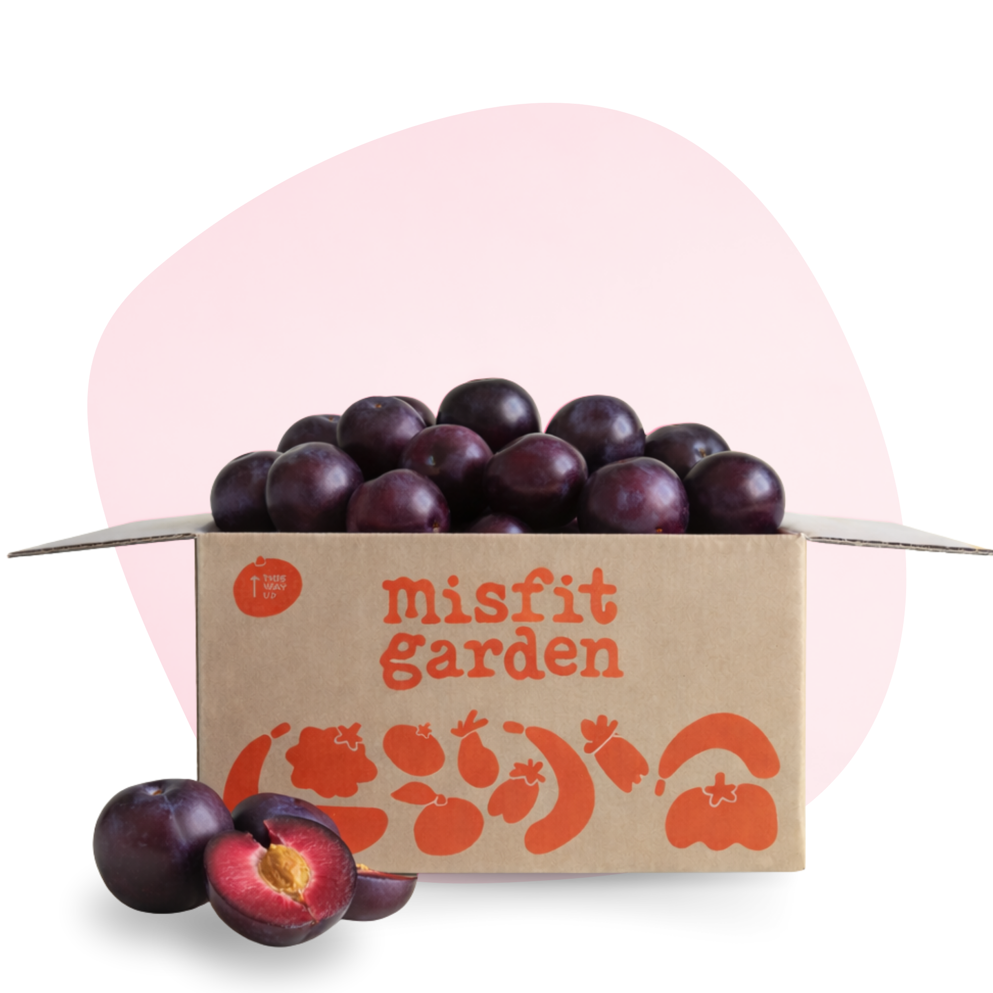 Black Doris Plum Box (3kg)