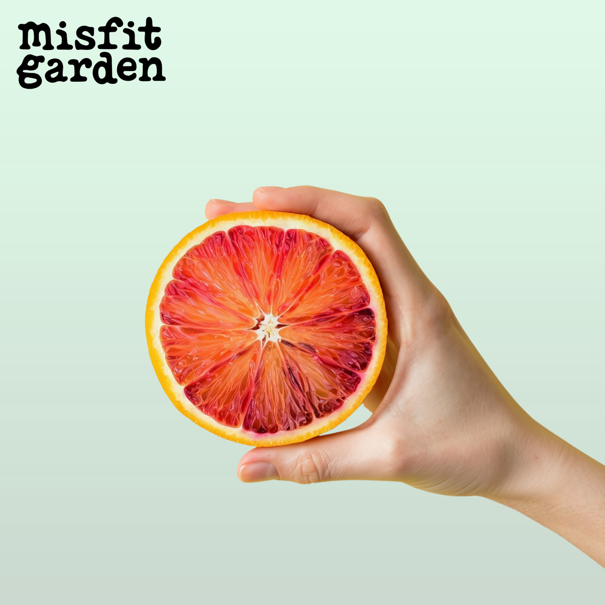 Add 750g Blood Oranges (Aussie)