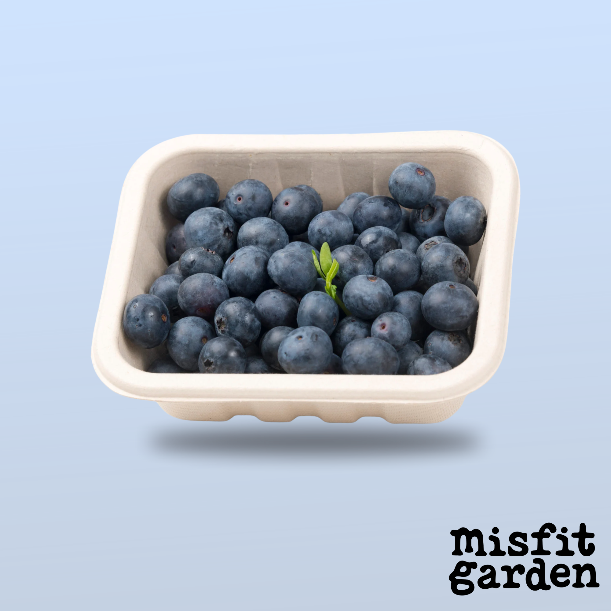 Add Blueberries (125g)