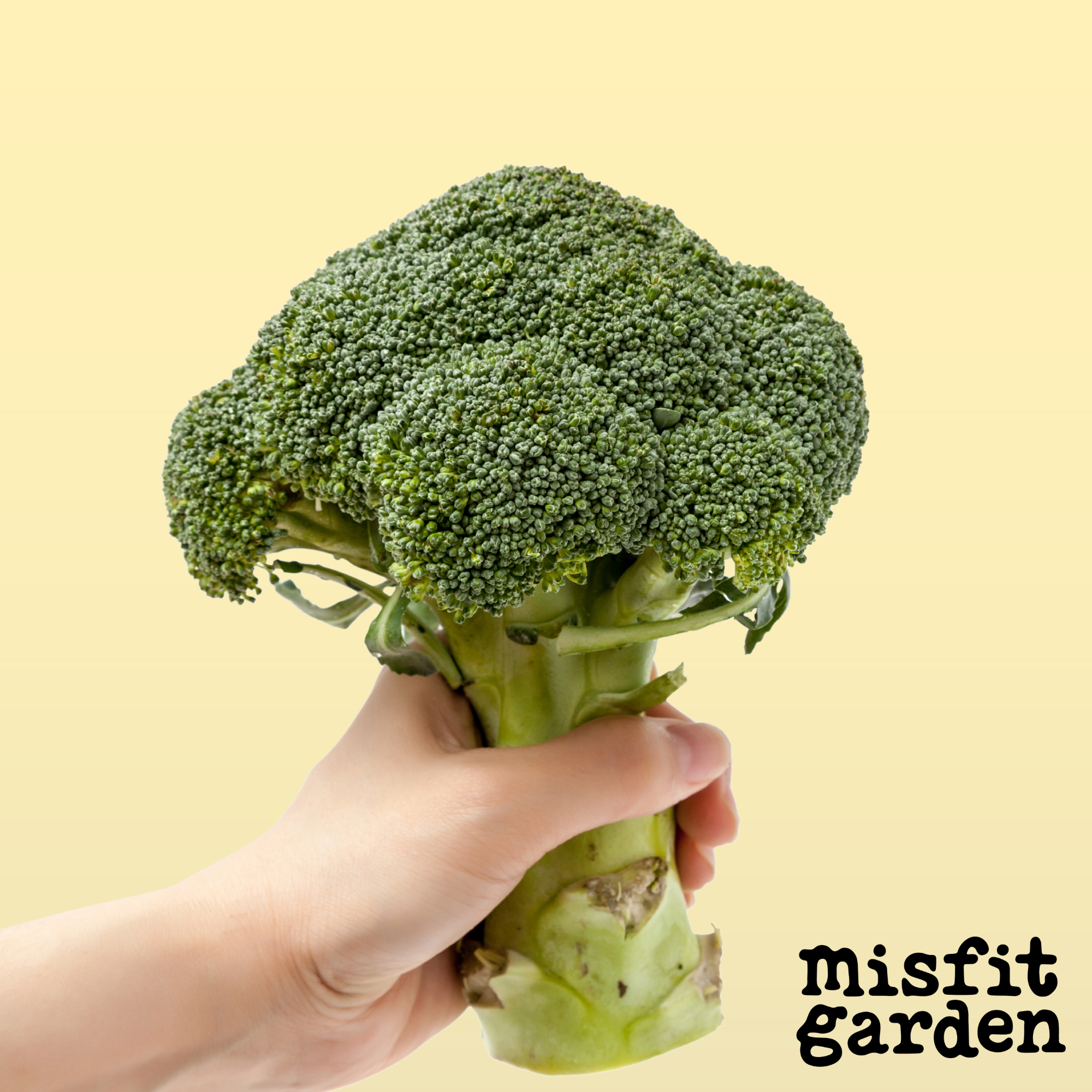 Add 1x Broccoli