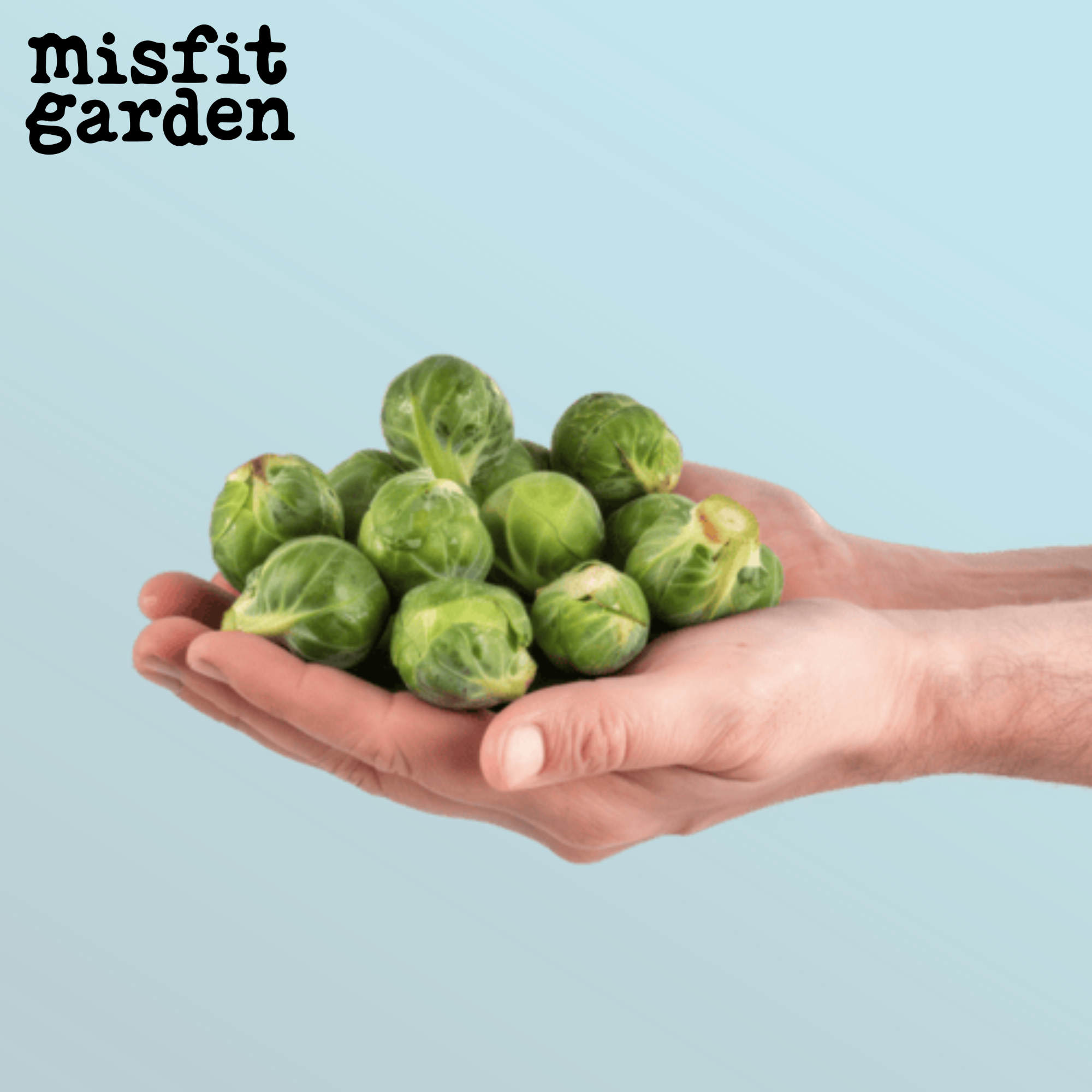 Add 400g Brussels Sprouts