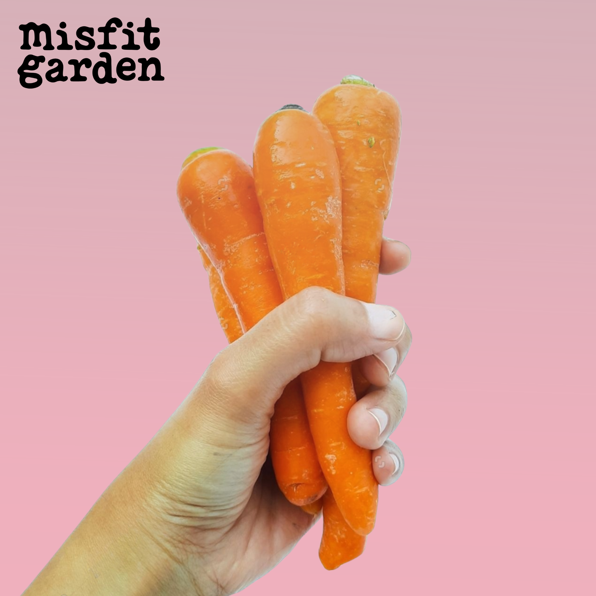 Add 700g Carrots