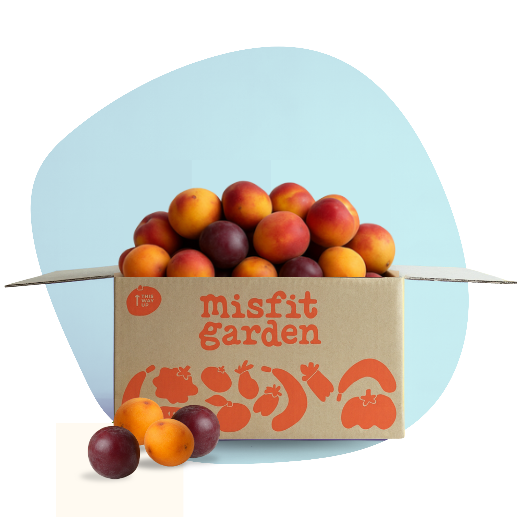 Summer Stonefruit (3kg Mix)