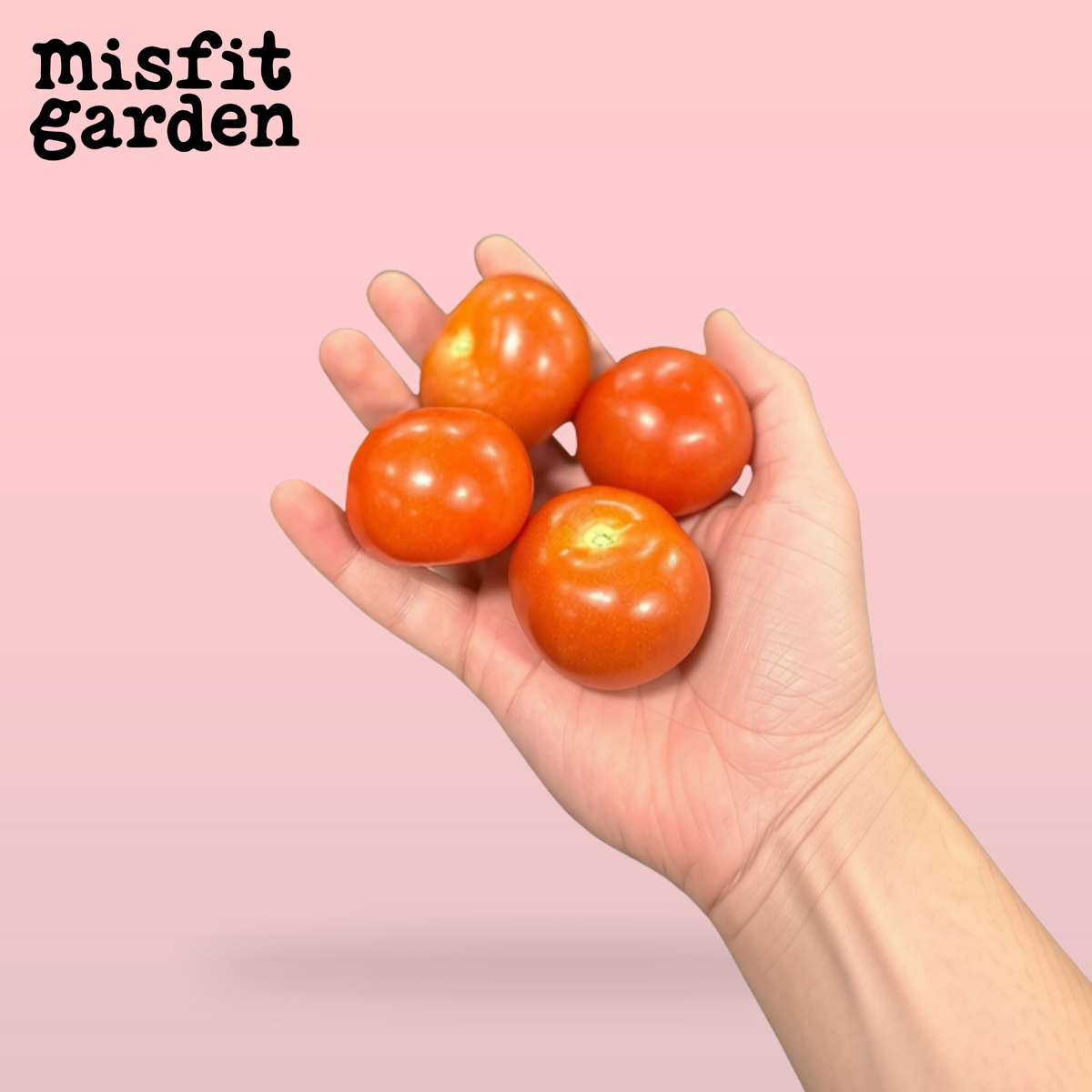 Add 600g Cocktail Tomatoes