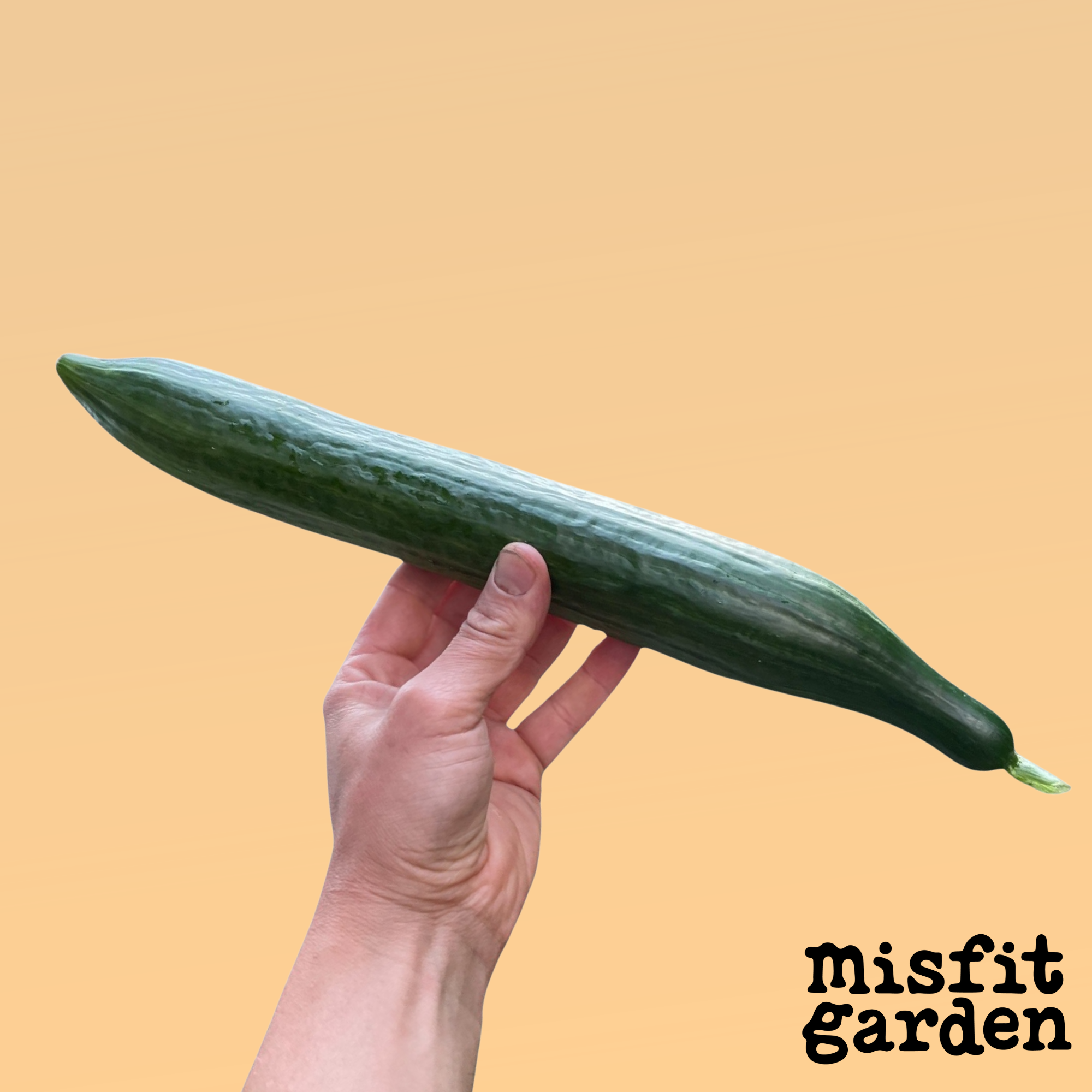 Add x2 Cucumbers *SUPER DEAL*