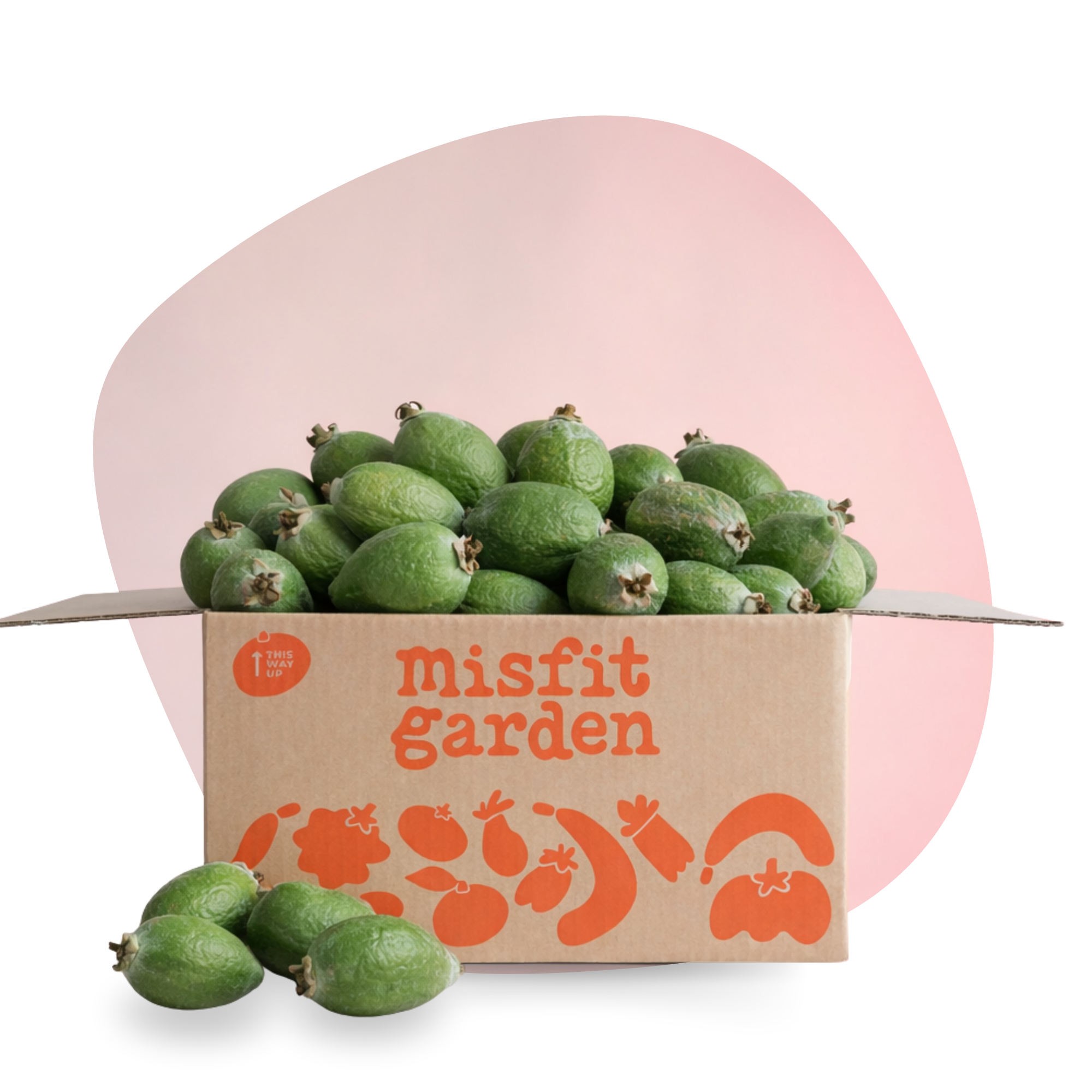 Feijoa Box (4kg)